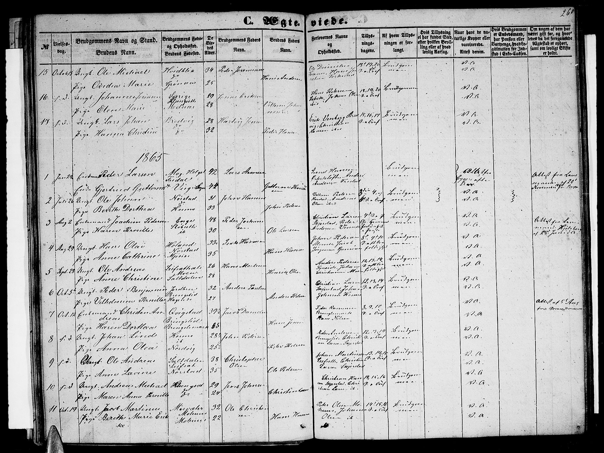 Ministerialprotokoller, klokkerbøker og fødselsregistre - Nordland, AV/SAT-A-1459/852/L0753: Parish register (copy) no. 852C04, 1856-1877, p. 260