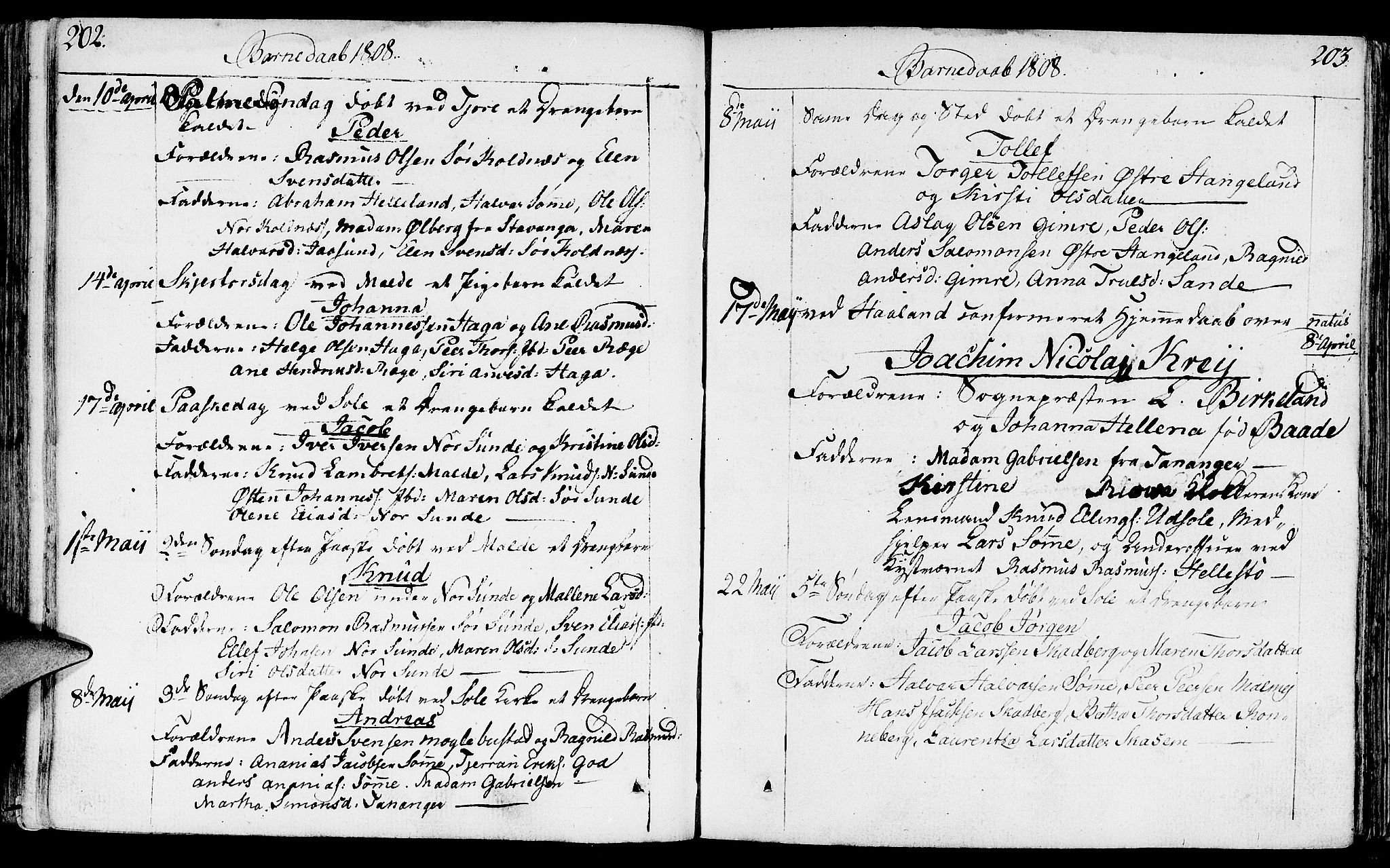 Håland sokneprestkontor, AV/SAST-A-101802/001/30BA/L0003: Parish register (official) no. A 3, 1794-1815, p. 202-203