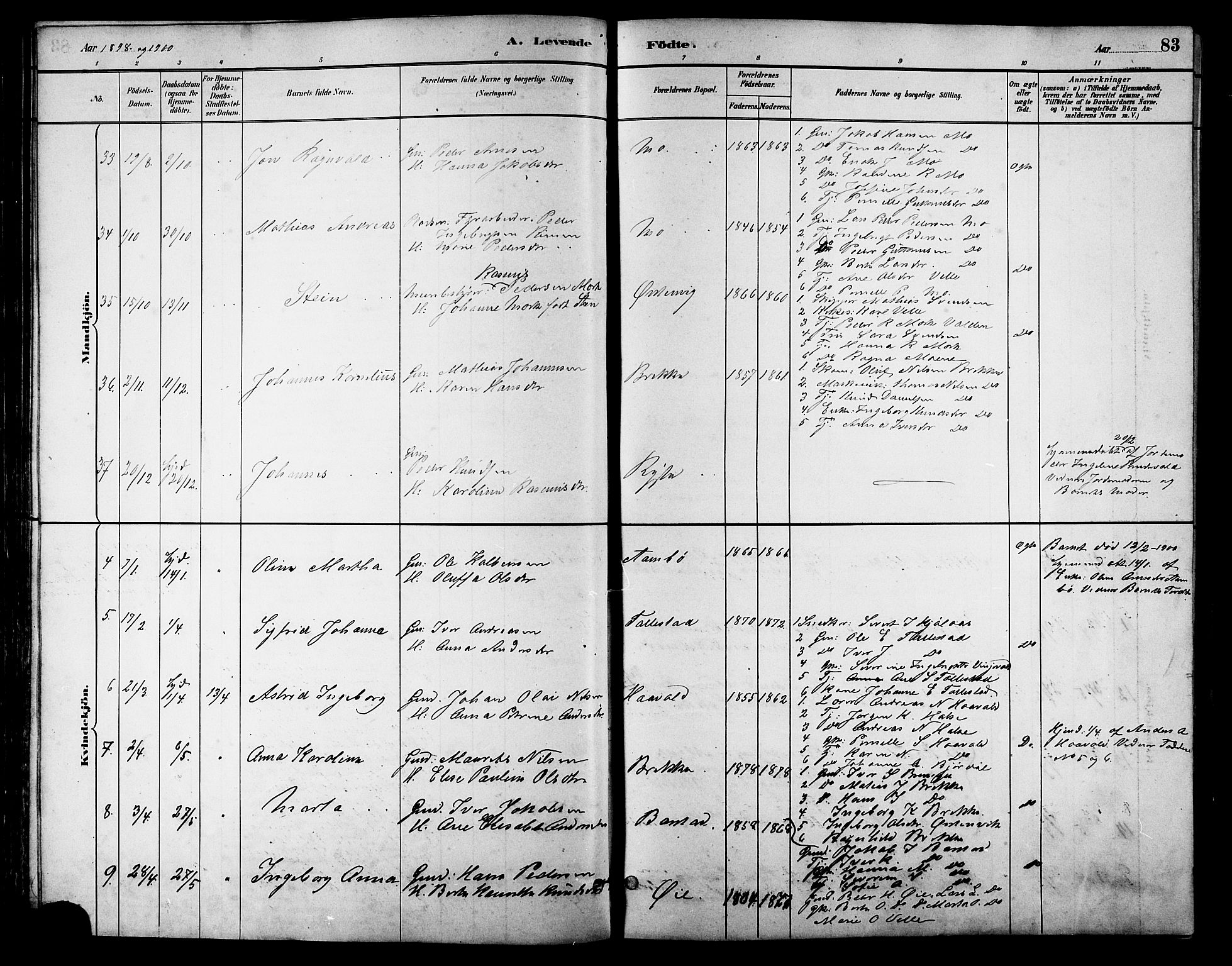 Ministerialprotokoller, klokkerbøker og fødselsregistre - Møre og Romsdal, AV/SAT-A-1454/513/L0189: Parish register (copy) no. 513C03, 1883-1904, p. 83