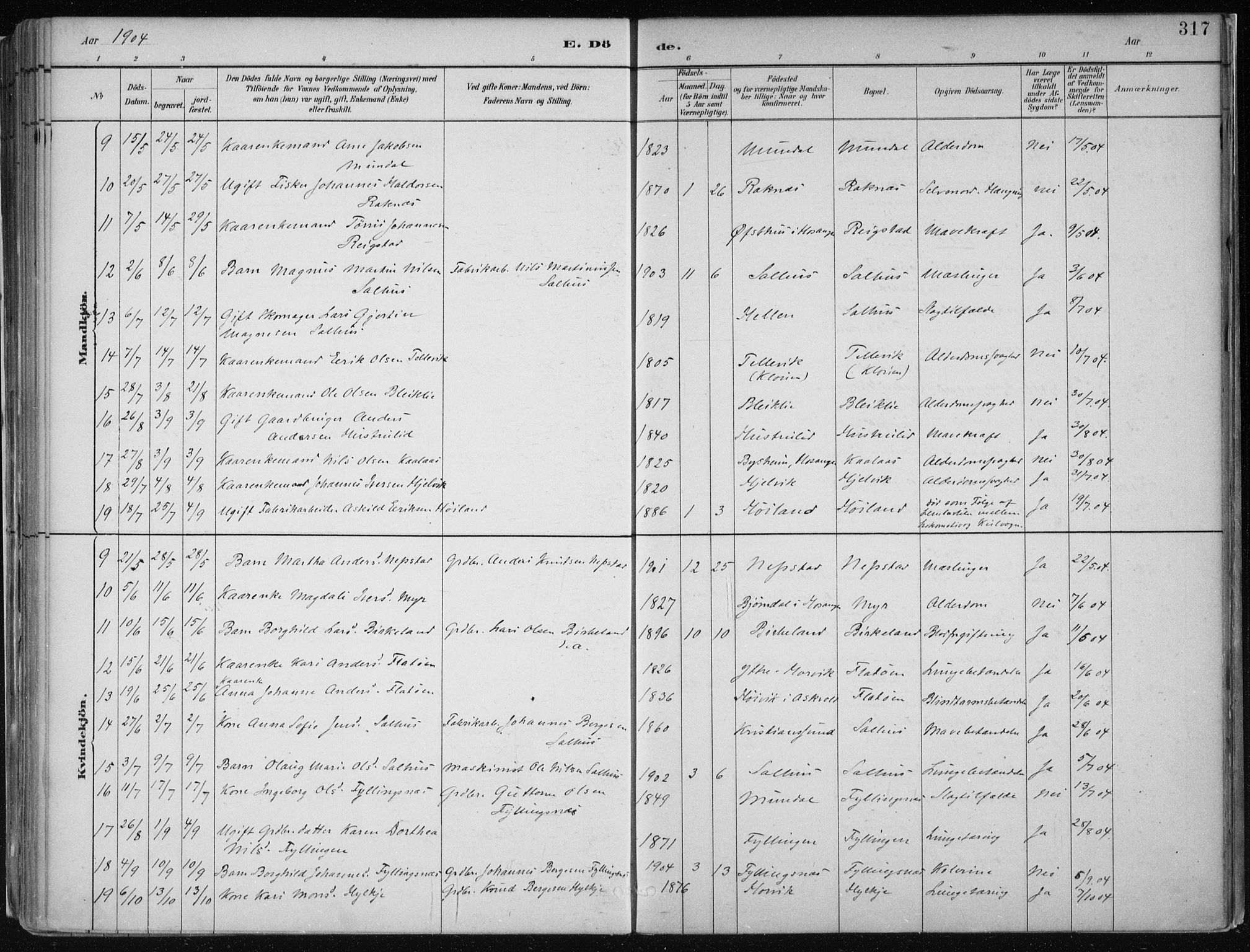 Hamre sokneprestembete, SAB/A-75501/H/Ha/Haa/Haab/L0001: Parish register (official) no. B  1, 1882-1905, p. 317