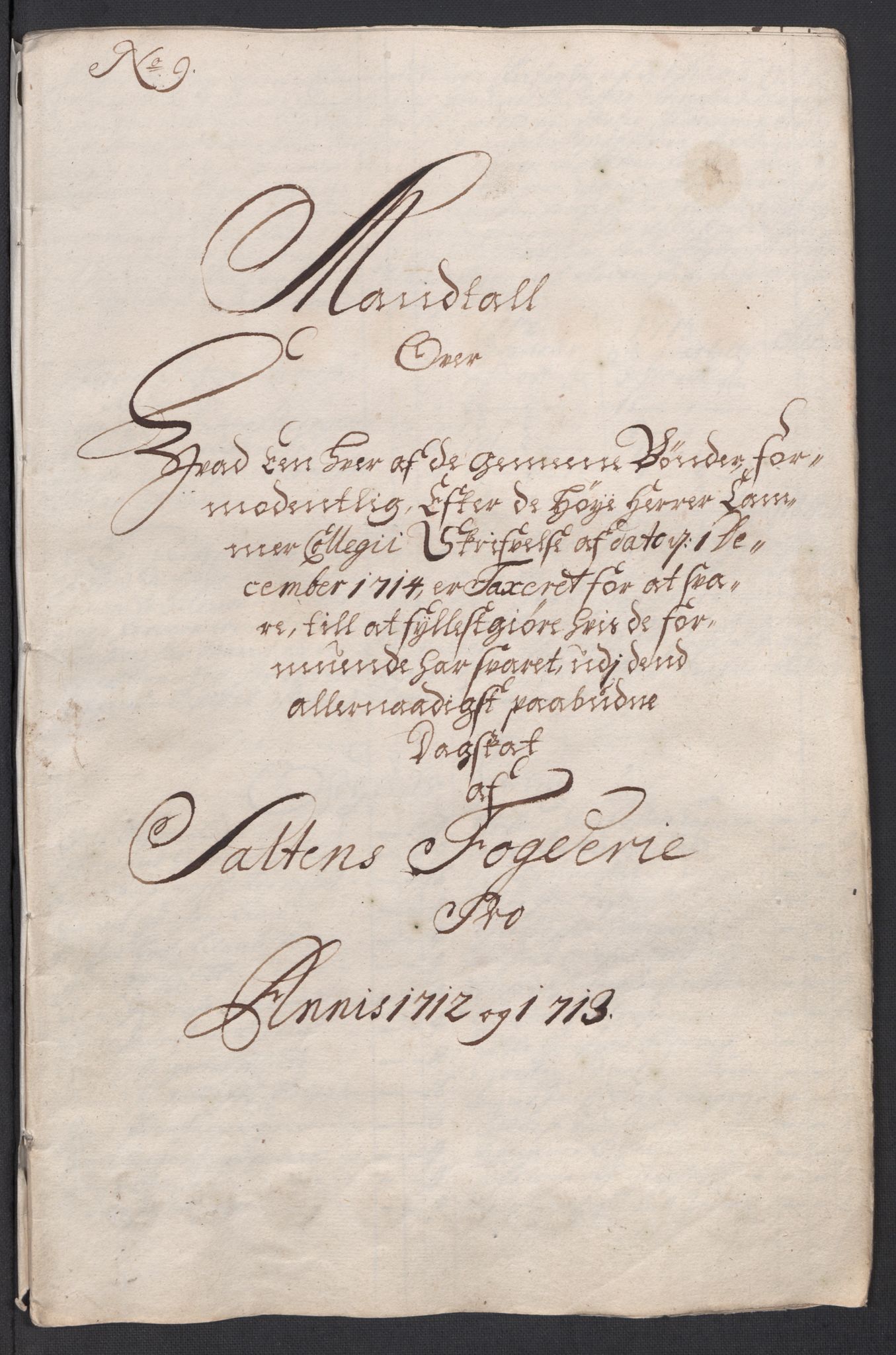 Rentekammeret inntil 1814, Reviderte regnskaper, Fogderegnskap, AV/RA-EA-4092/R66/L4585: Fogderegnskap Salten, 1715, p. 117