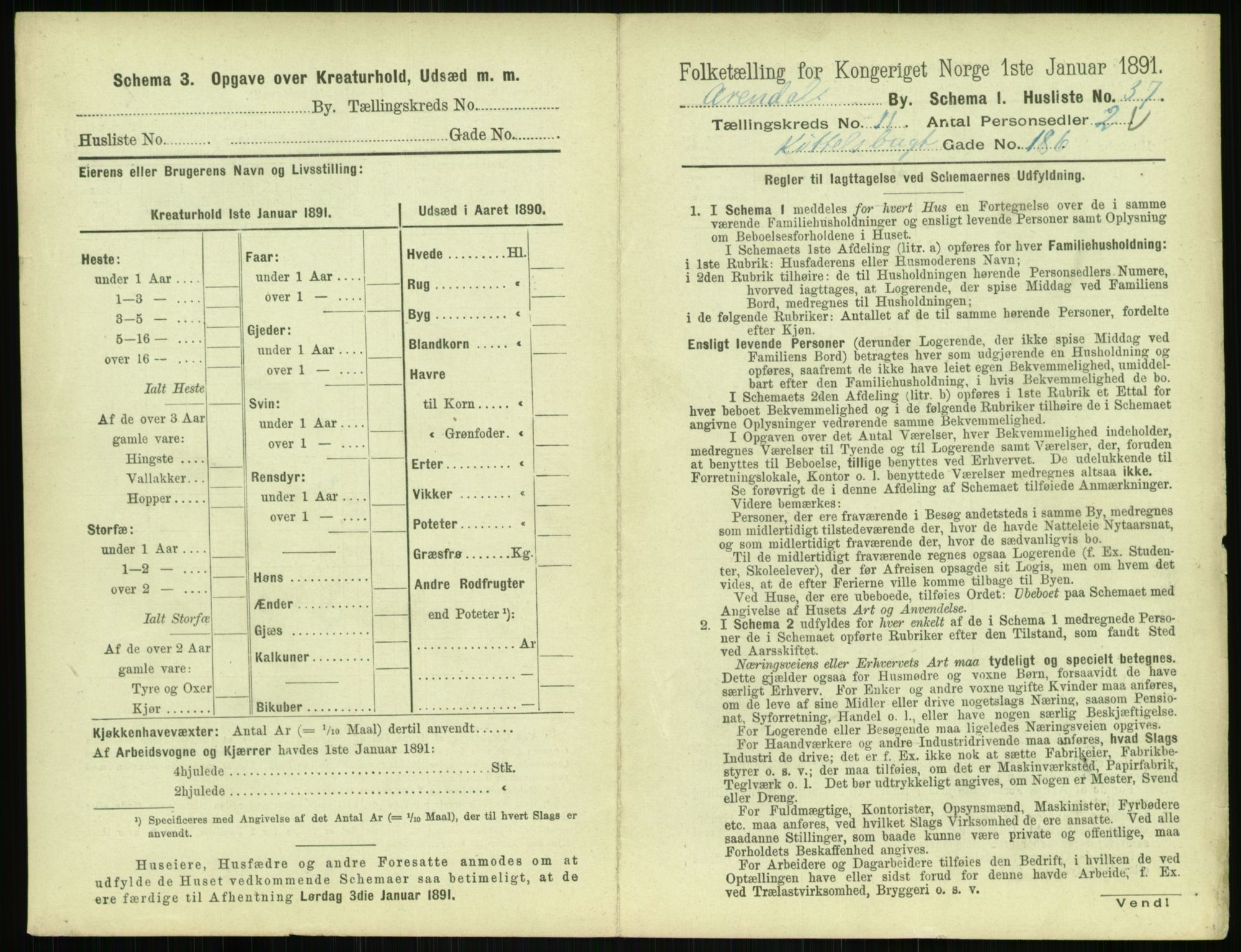 RA, 1891 census for 0903 Arendal, 1891, p. 634