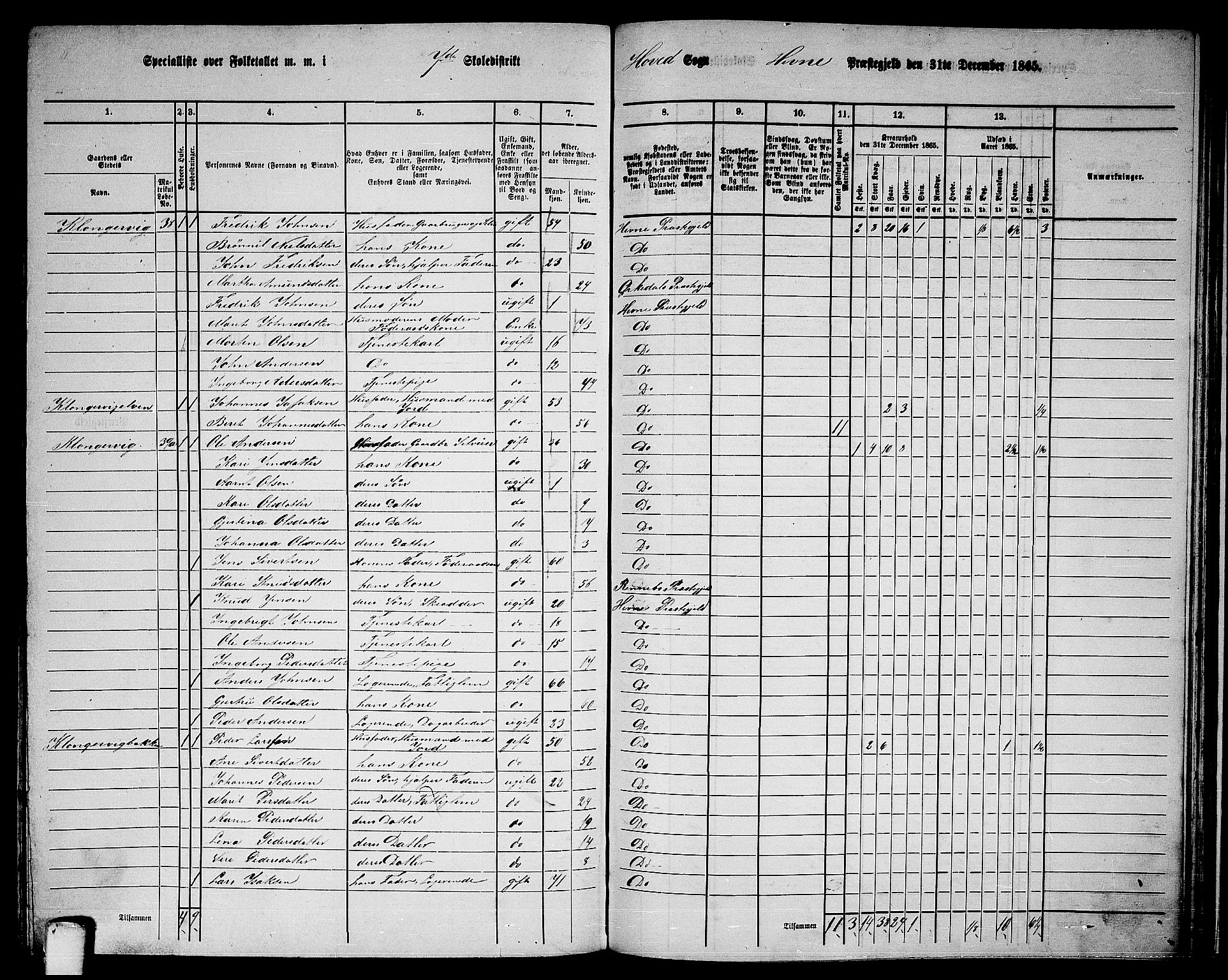 RA, 1865 census for Hemne, 1865, p. 146