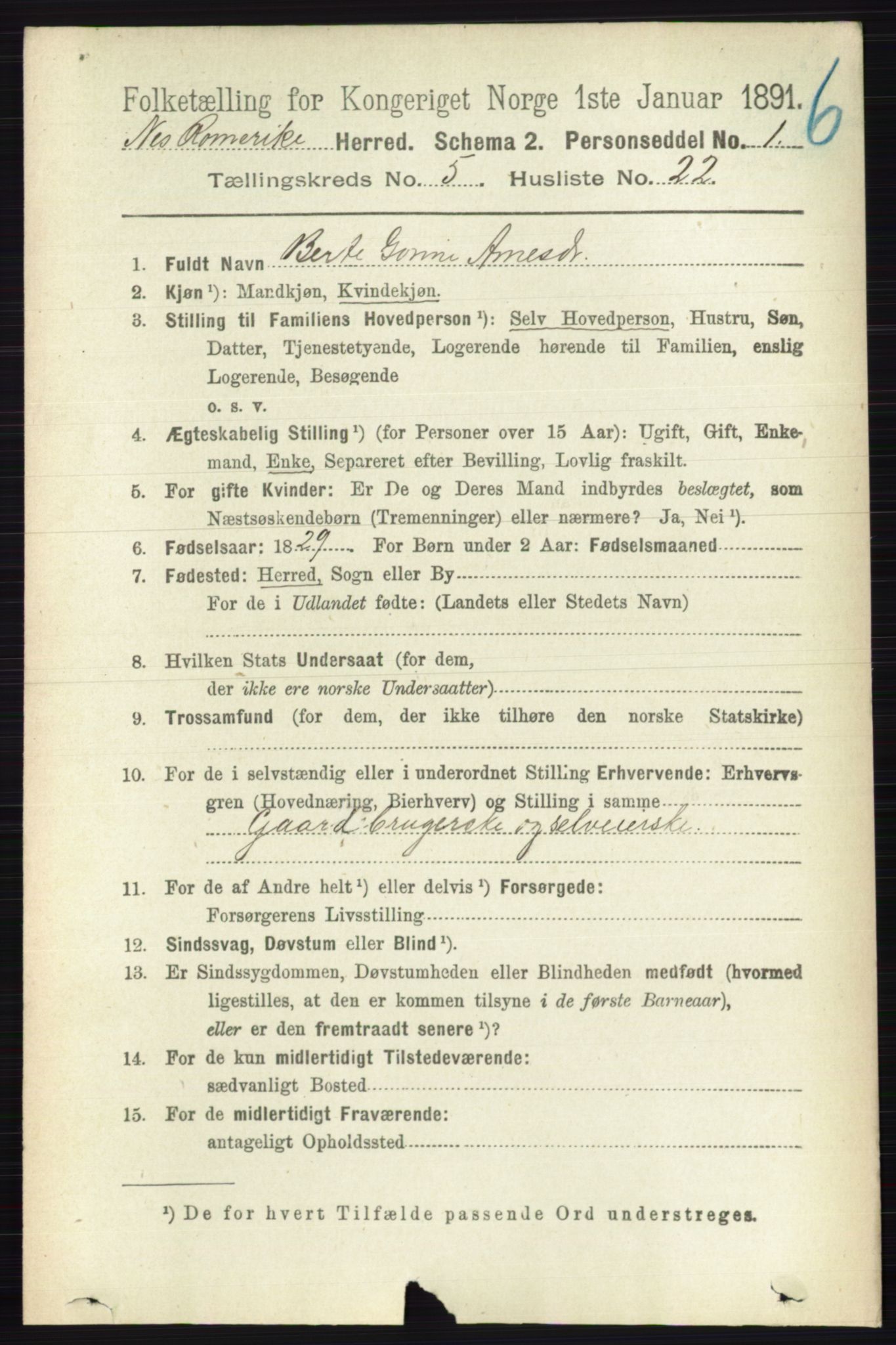 RA, 1891 census for 0236 Nes, 1891, p. 2909