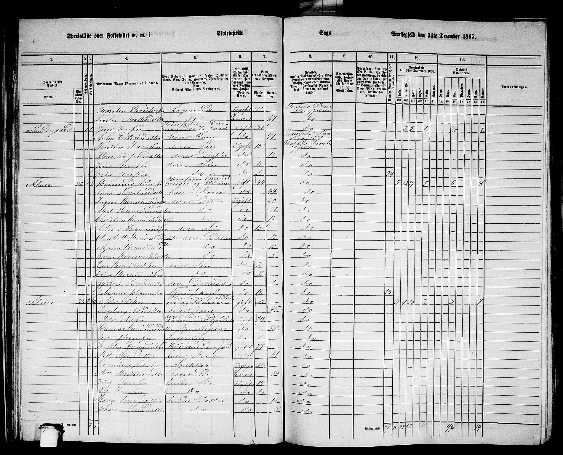 RA, 1865 census for Hafslo, 1865, p. 33