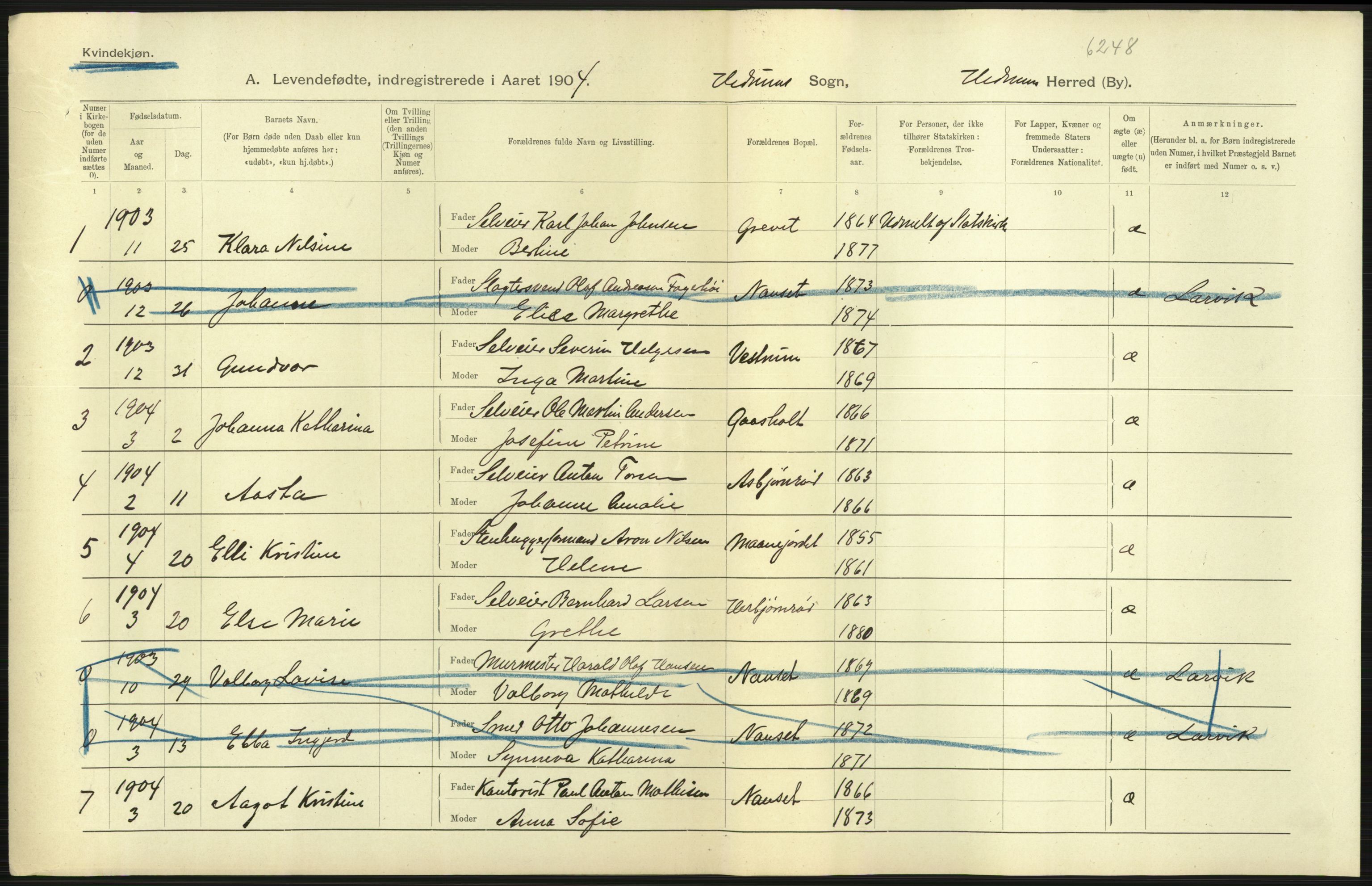 Statistisk sentralbyrå, Sosiodemografiske emner, Befolkning, AV/RA-S-2228/D/Df/Dfa/Dfab/L0008: Jarlsberg og Larvig amt: Fødte, gifte, døde, 1904, p. 21