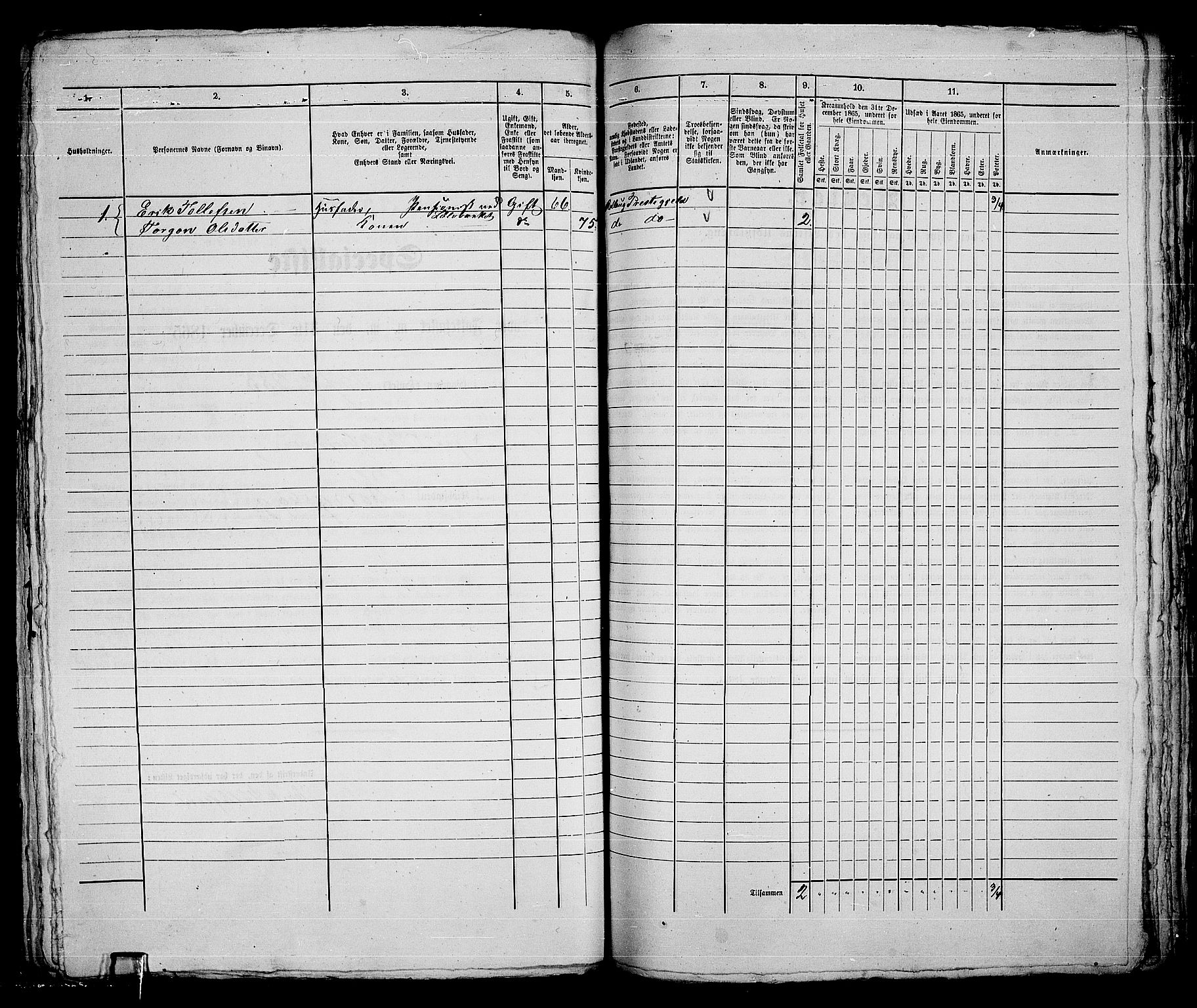 RA, 1865 census for Kongsberg/Kongsberg, 1865, p. 836