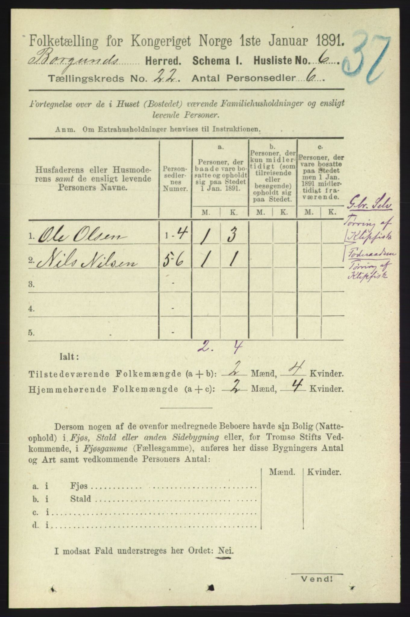 RA, 1891 census for 1531 Borgund, 1891, p. 6597