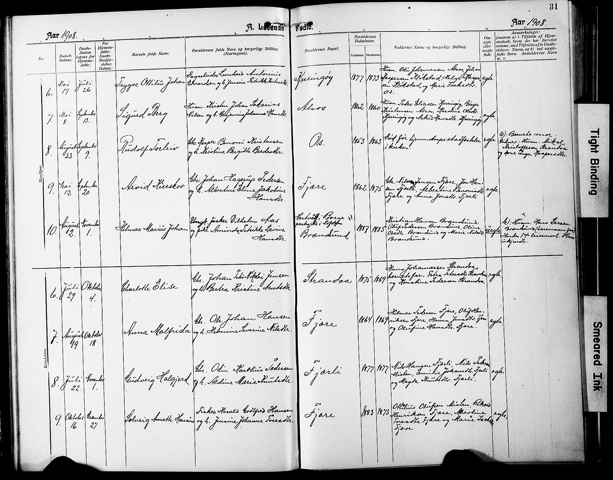 Ministerialprotokoller, klokkerbøker og fødselsregistre - Nordland, SAT/A-1459/803/L0077: Parish register (copy) no. 803C04, 1897-1930, p. 31