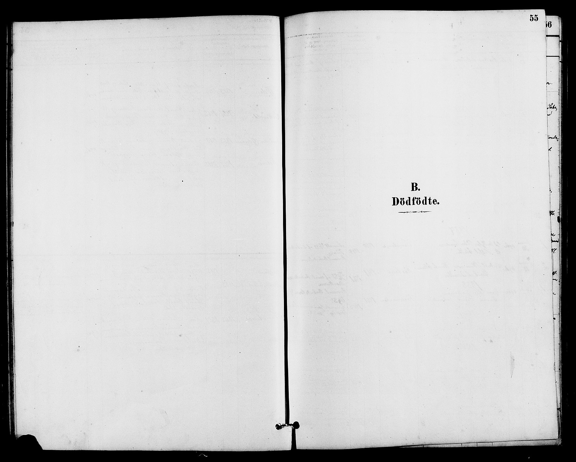 Vestre Slidre prestekontor, SAH/PREST-136/H/Ha/Hab/L0005: Parish register (copy) no. 5, 1881-1913, p. 55