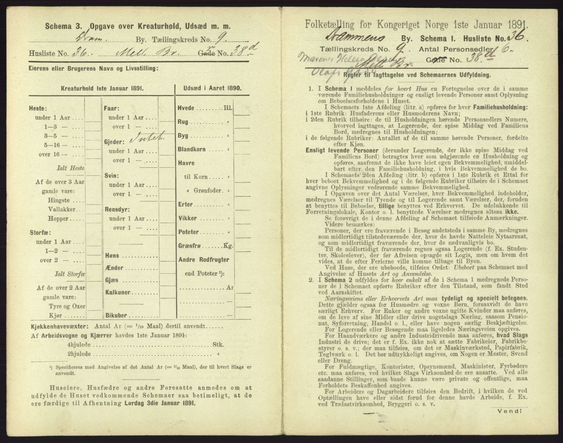 RA, 1891 census for 0602 Drammen, 1891, p. 815