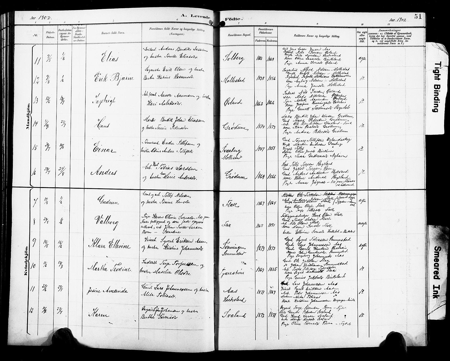 Birkenes sokneprestkontor, SAK/1111-0004/F/Fb/L0004: Parish register (copy) no. B 4, 1893-1930, p. 51