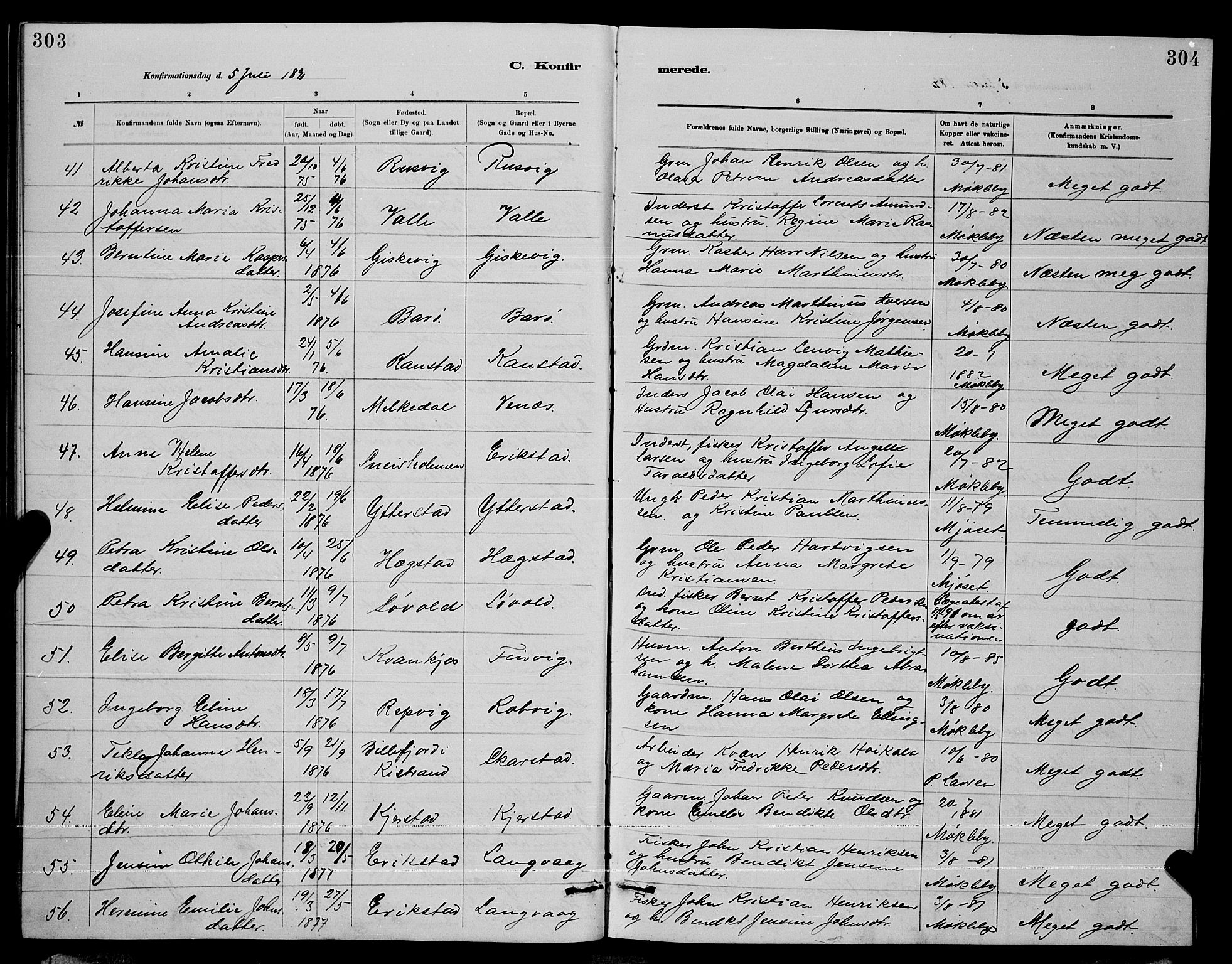 Ministerialprotokoller, klokkerbøker og fødselsregistre - Nordland, AV/SAT-A-1459/872/L1047: Parish register (copy) no. 872C03, 1880-1897, p. 303-304