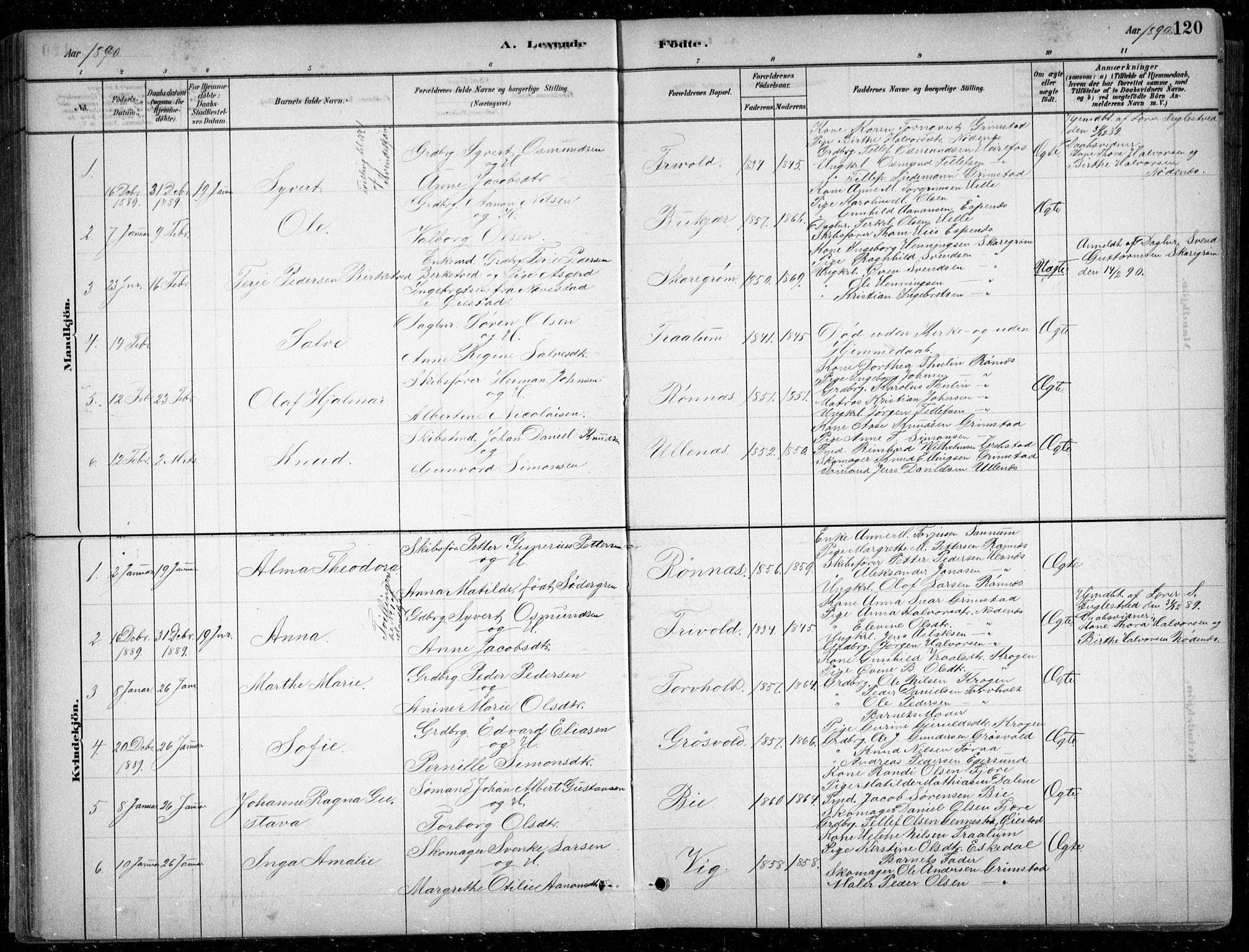 Fjære sokneprestkontor, SAK/1111-0011/F/Fb/L0011: Parish register (copy) no. B 11, 1881-1905, p. 120