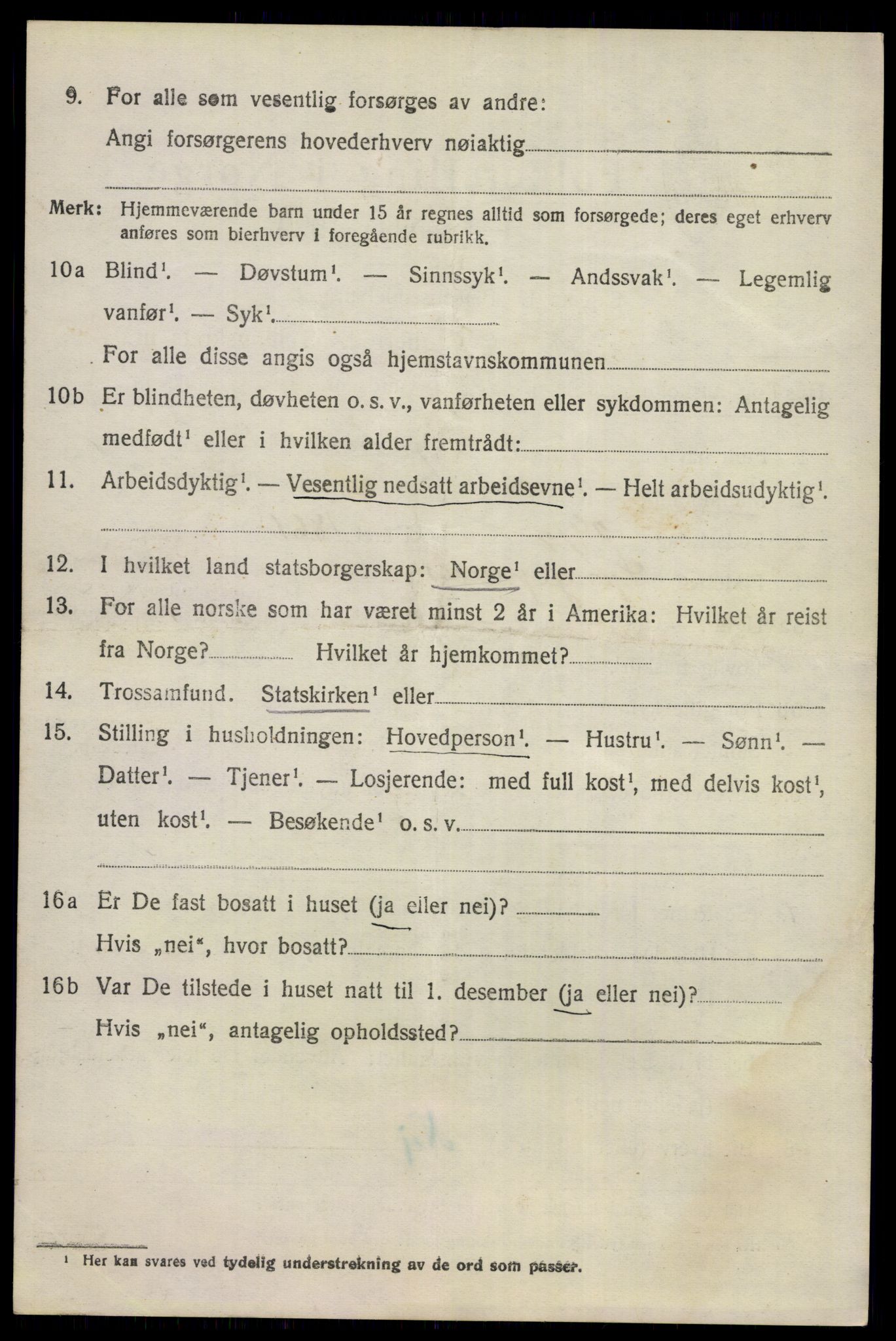 SAKO, 1920 census for Nes (Buskerud), 1920, p. 1617