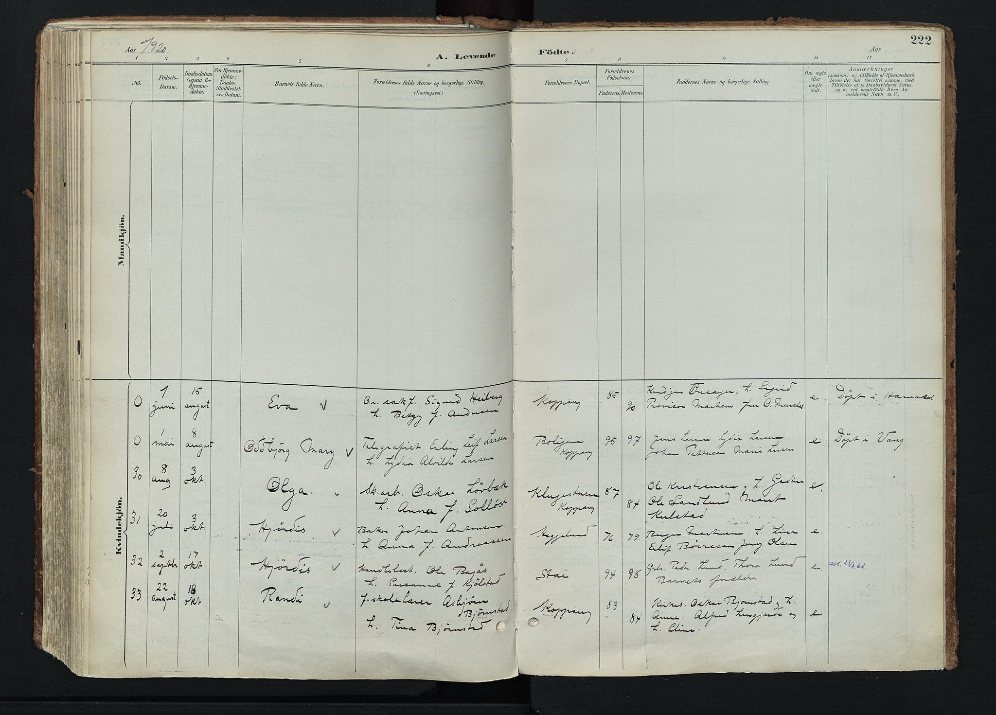 Stor-Elvdal prestekontor, AV/SAH-PREST-052/H/Ha/Haa/L0004: Parish register (official) no. 4, 1890-1922, p. 222