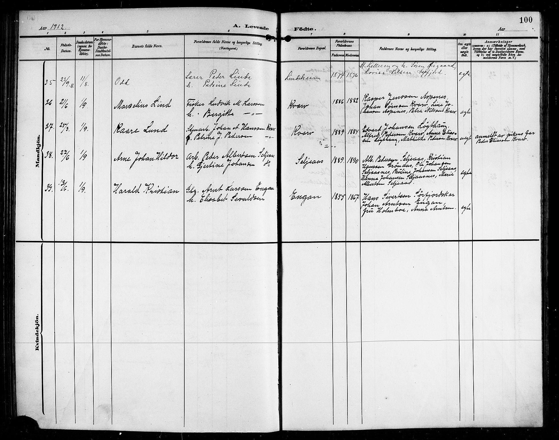 Ministerialprotokoller, klokkerbøker og fødselsregistre - Nordland, AV/SAT-A-1459/854/L0786: Parish register (copy) no. 854C02, 1901-1912, p. 100