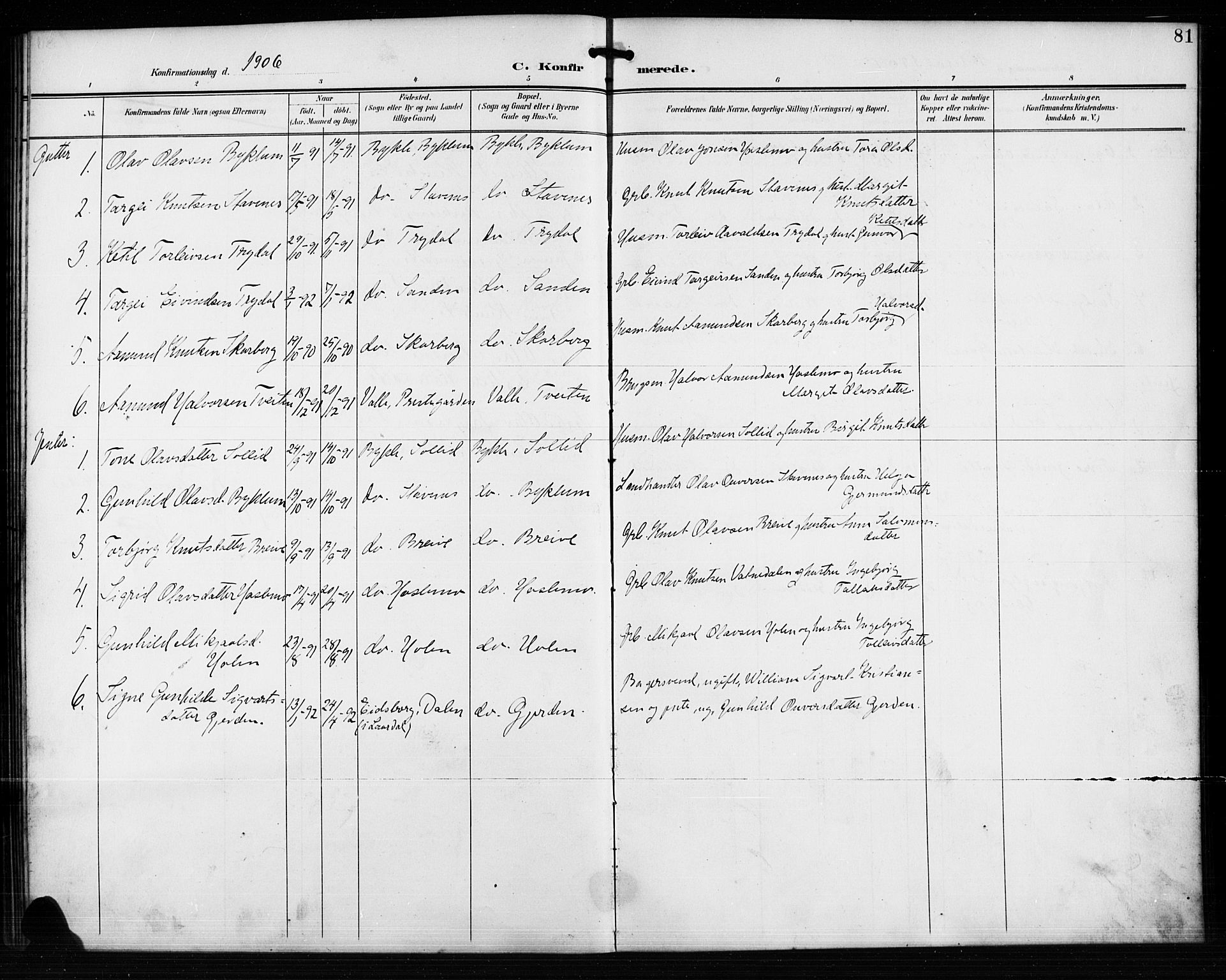 Valle sokneprestkontor, AV/SAK-1111-0044/F/Fb/Fba/L0003: Parish register (copy) no. B 3, 1895-1916, p. 81