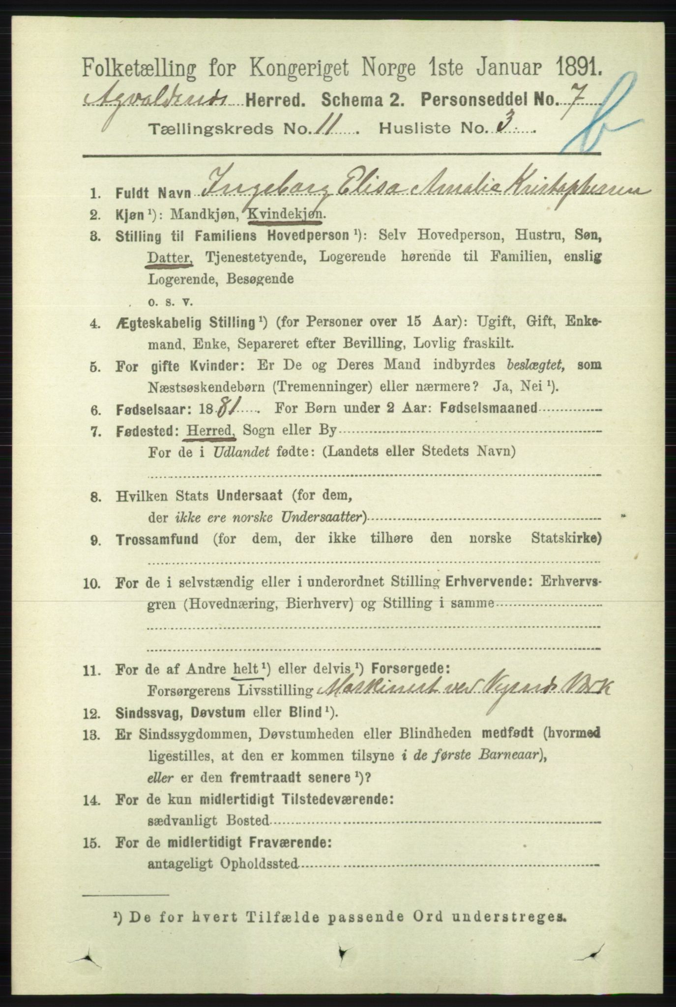 RA, 1891 census for 1147 Avaldsnes, 1891, p. 6250