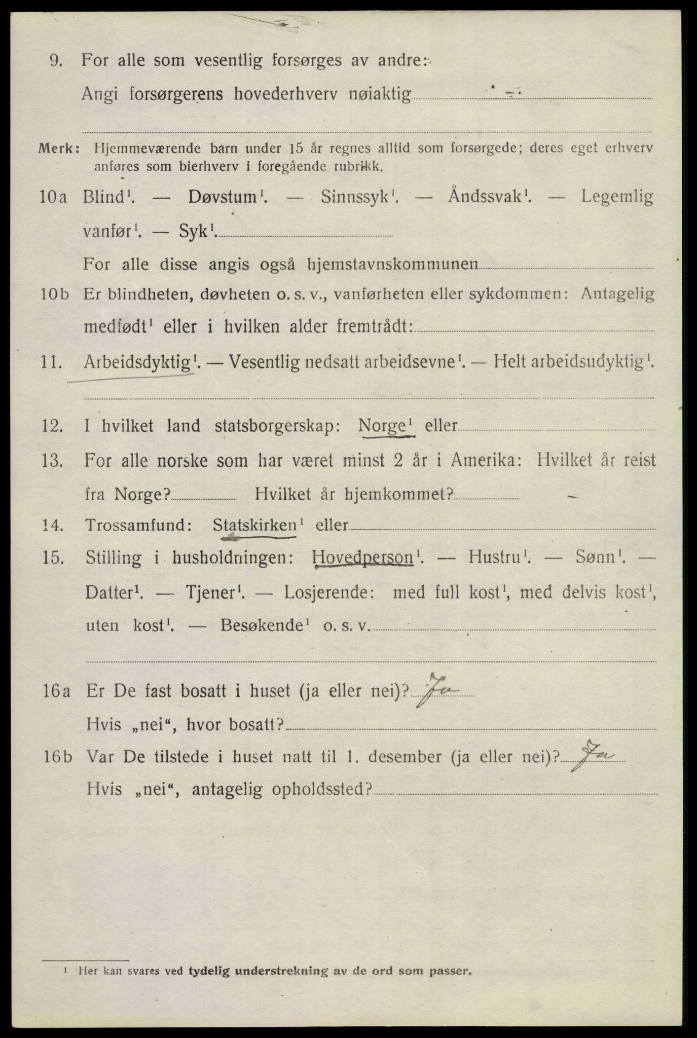 SAKO, 1920 census for Hol (Buskerud), 1920, p. 2428