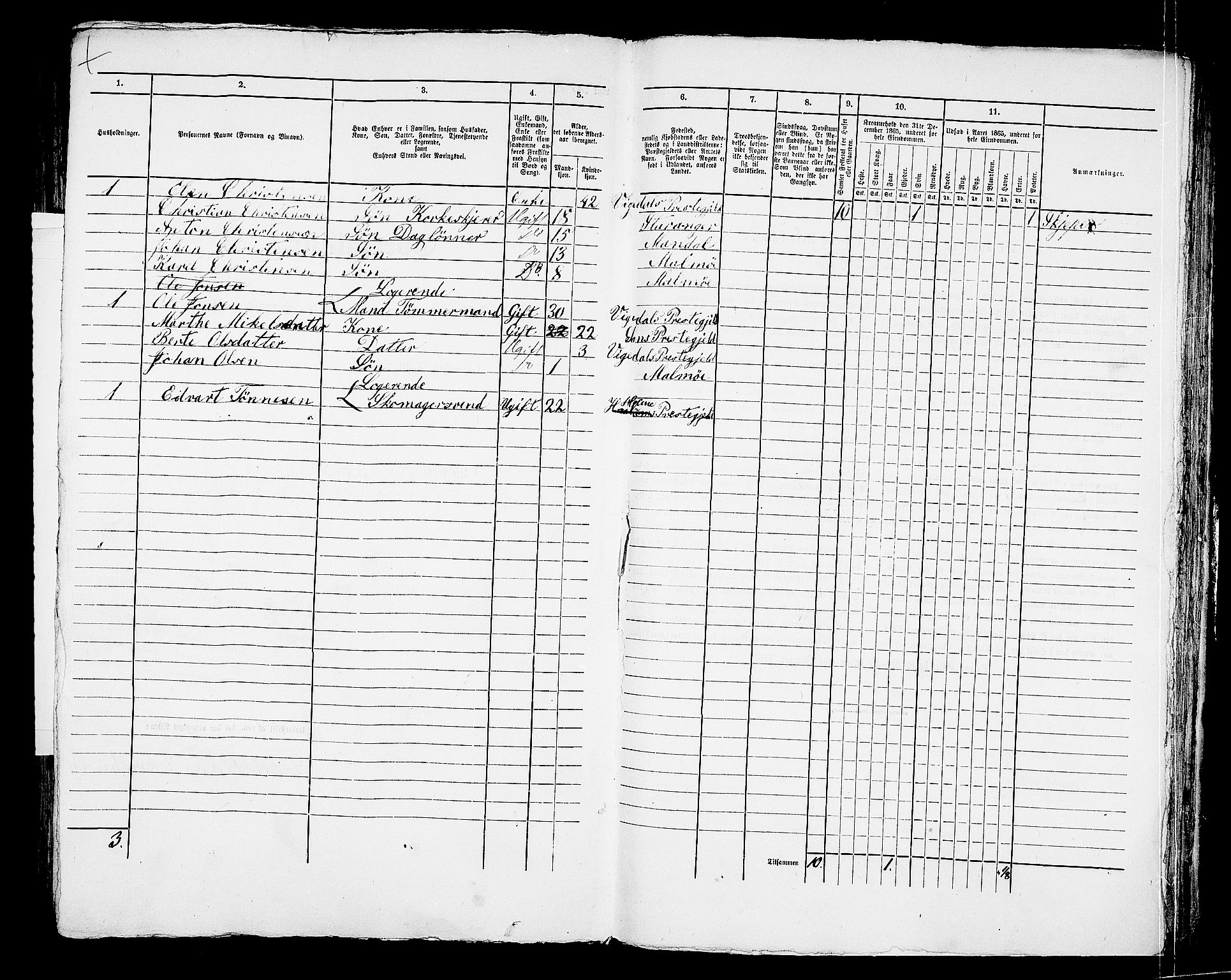 RA, 1865 census for Mandal/Mandal, 1865, p. 894