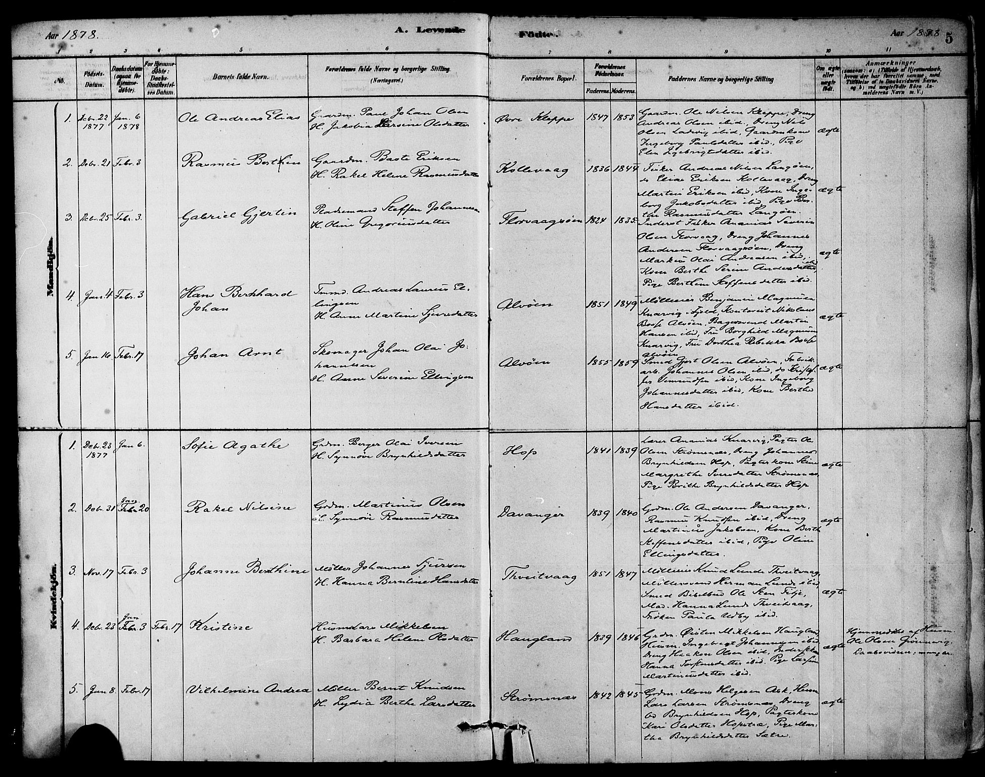 Askøy Sokneprestembete, SAB/A-74101/H/Ha/Haa/Haab/L0001: Parish register (official) no. B 1, 1878-1889, p. 5