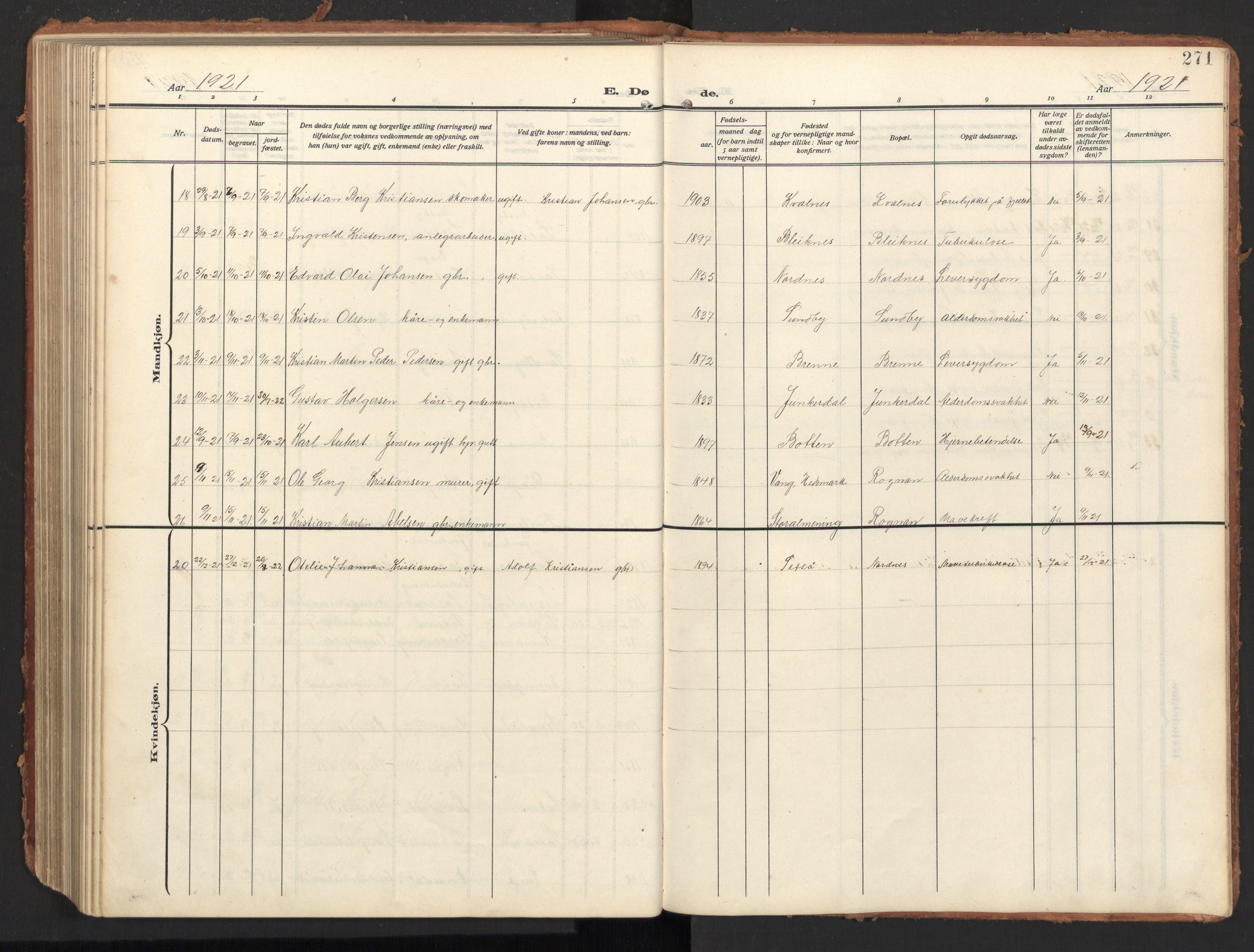 Ministerialprotokoller, klokkerbøker og fødselsregistre - Nordland, AV/SAT-A-1459/847/L0683: Parish register (copy) no. 847C11, 1908-1929, p. 271