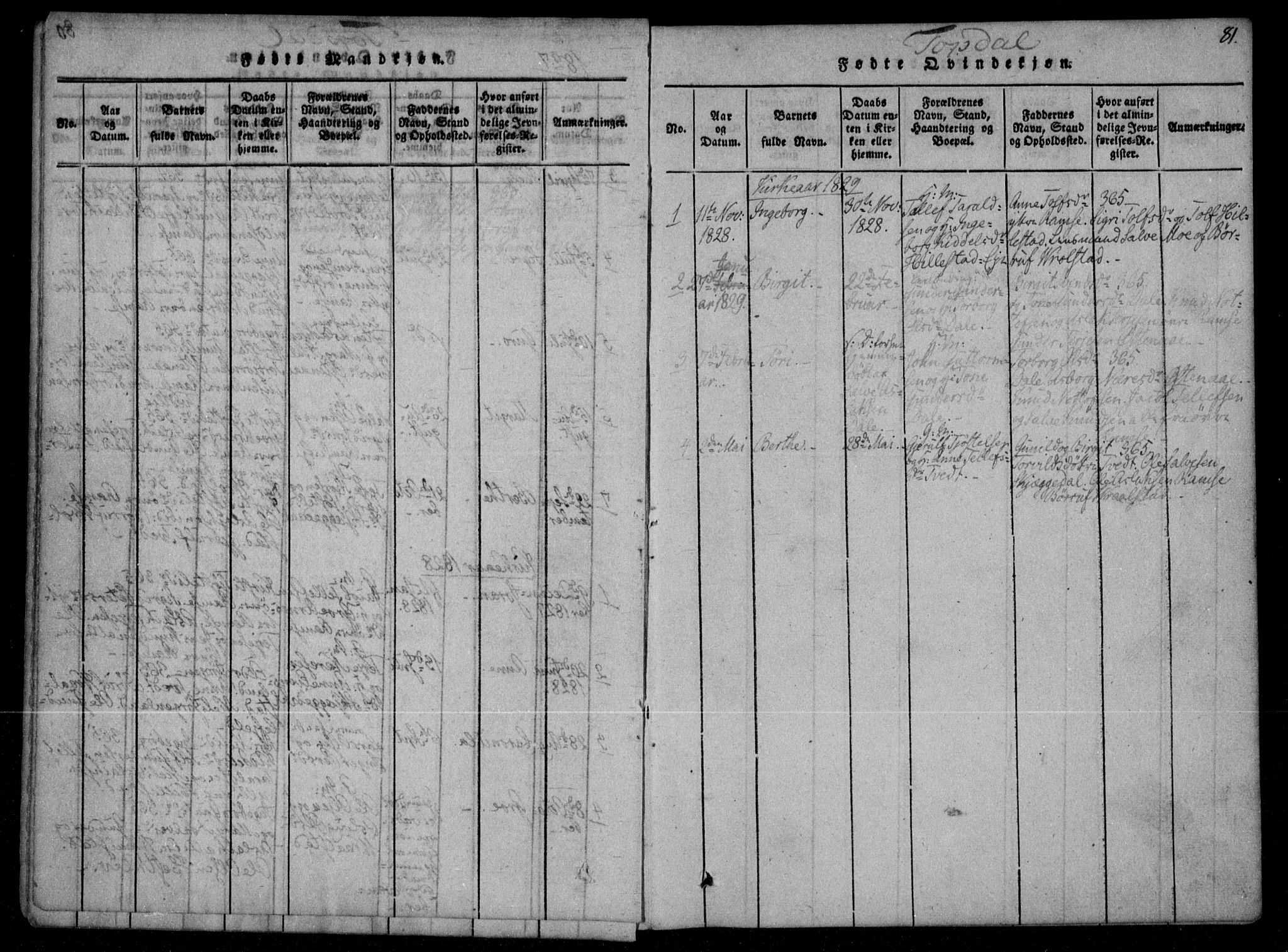 Åmli sokneprestkontor, SAK/1111-0050/F/Fa/Fac/L0006: Parish register (official) no. A 6, 1816-1829, p. 81