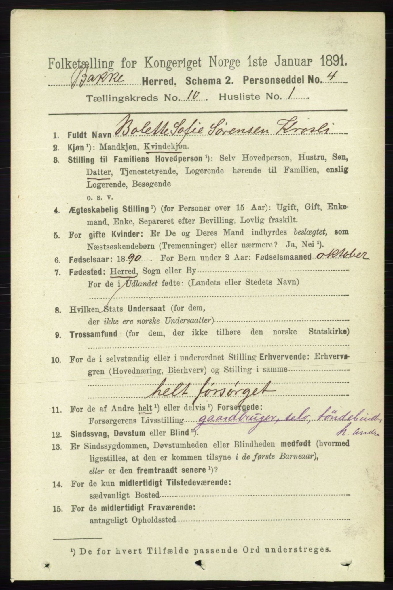 RA, 1891 census for 1045 Bakke, 1891, p. 2005