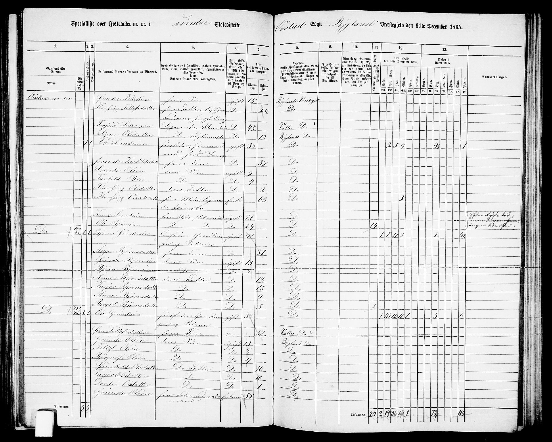 RA, 1865 census for Bygland, 1865, p. 25