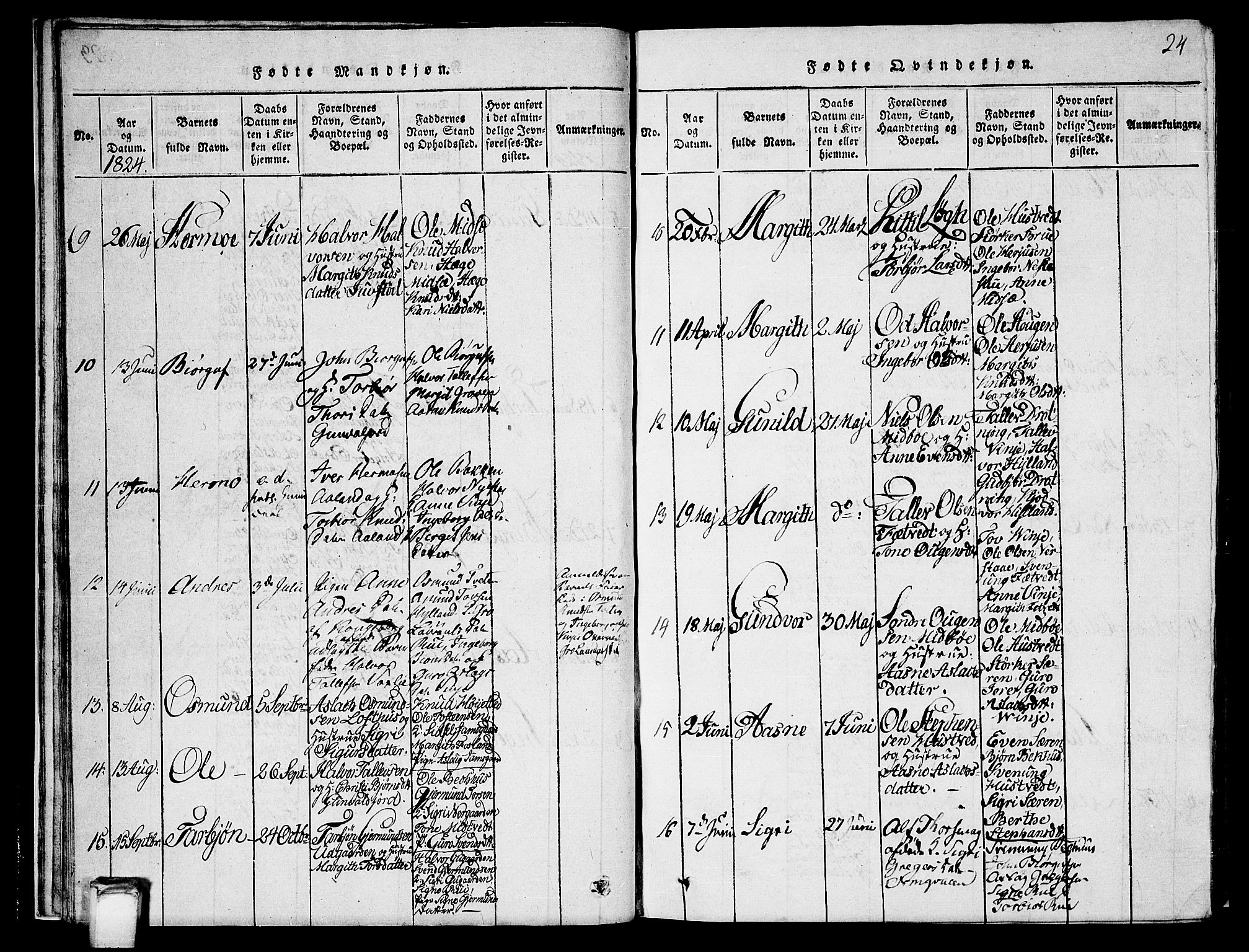 Vinje kirkebøker, SAKO/A-312/G/Ga/L0001: Parish register (copy) no. I 1, 1814-1843, p. 24