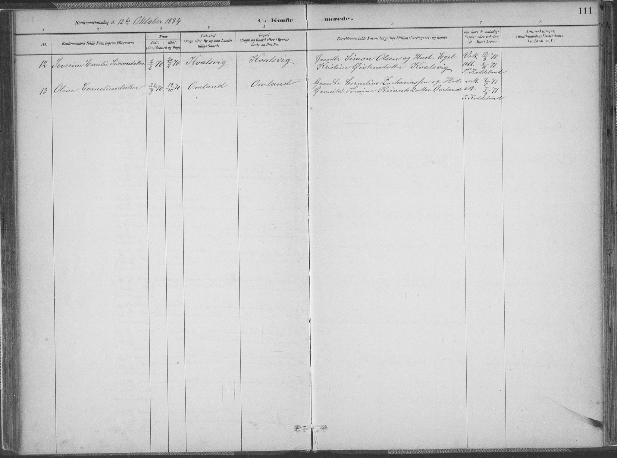 Lyngdal sokneprestkontor, AV/SAK-1111-0029/F/Fa/Faa/L0004: Parish register (official) no. A 4, 1883-1904, p. 111