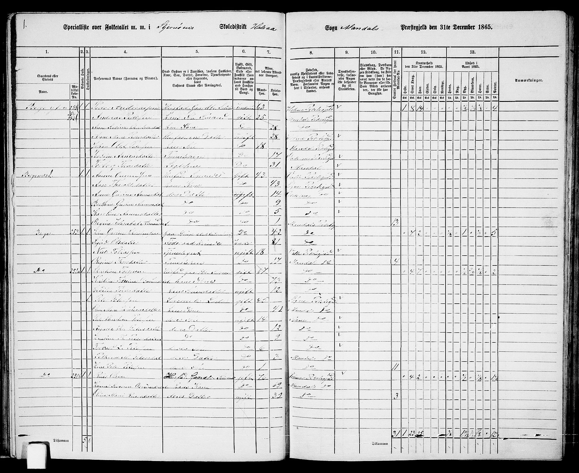 RA, 1865 census for Mandal/Halse og Harkmark, 1865, p. 34