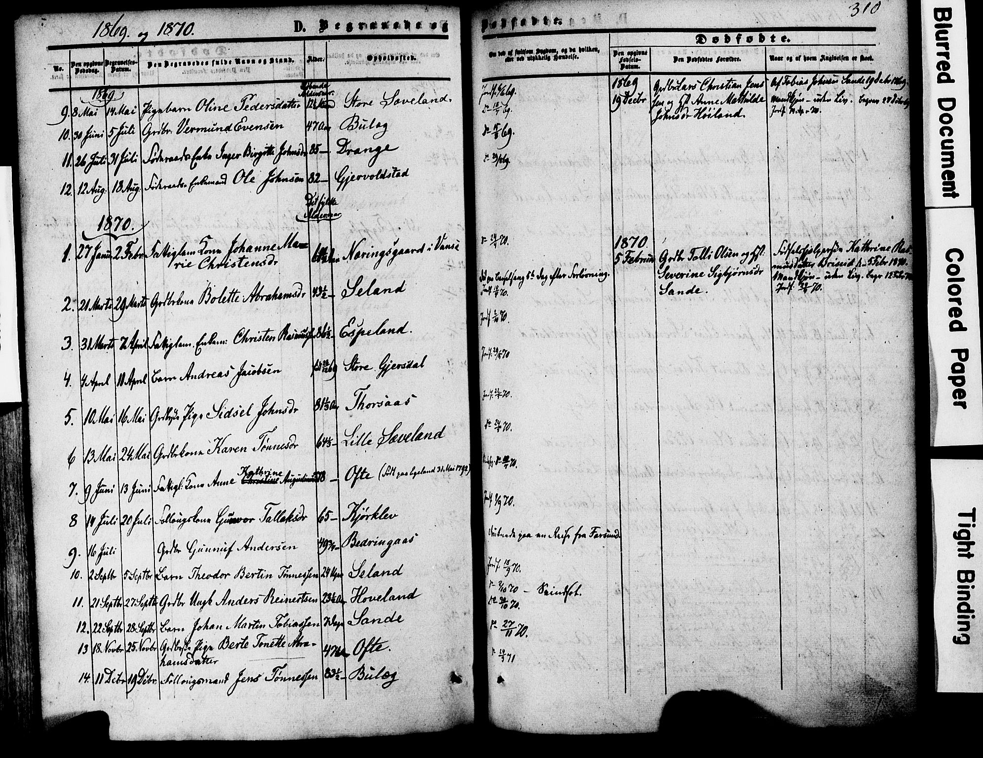 Herad sokneprestkontor, AV/SAK-1111-0018/F/Fa/Faa/L0005: Parish register (official) no. A 5, 1853-1886, p. 310