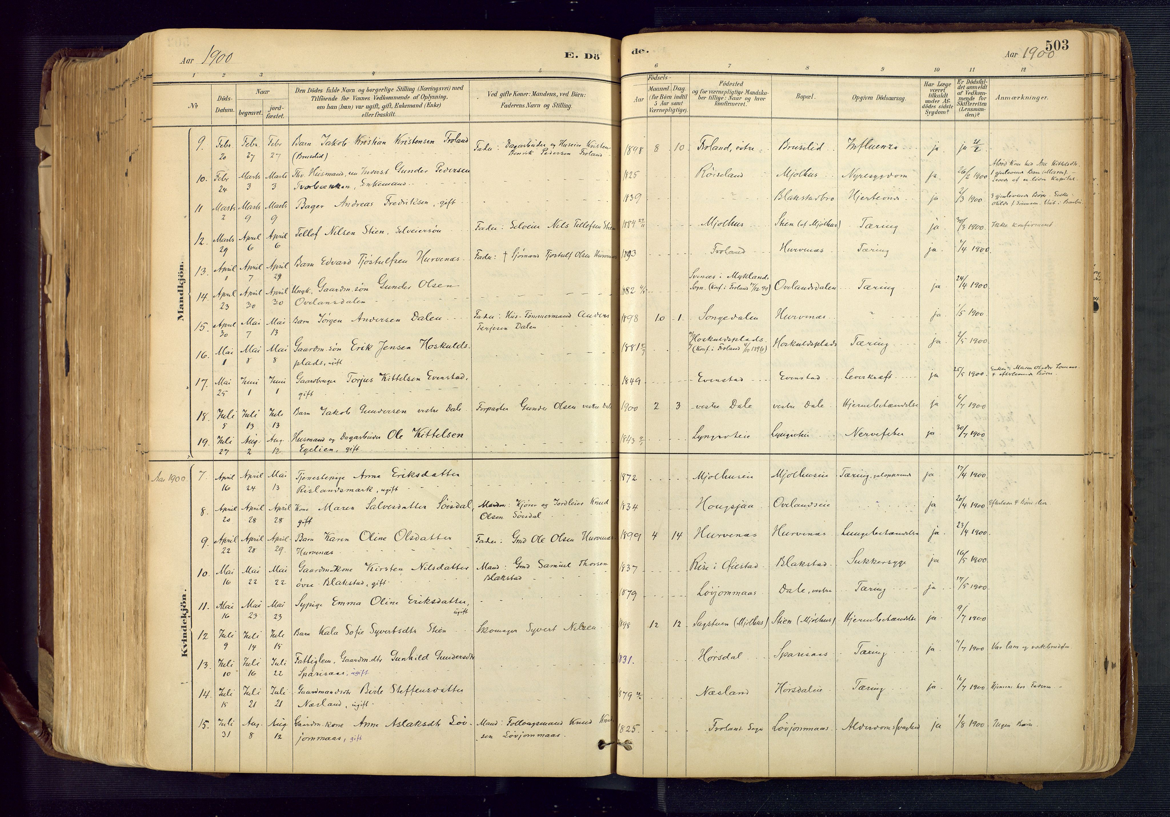 Froland sokneprestkontor, AV/SAK-1111-0013/F/Fa/L0005: Parish register (official) no. A 5, 1882-1921, p. 503