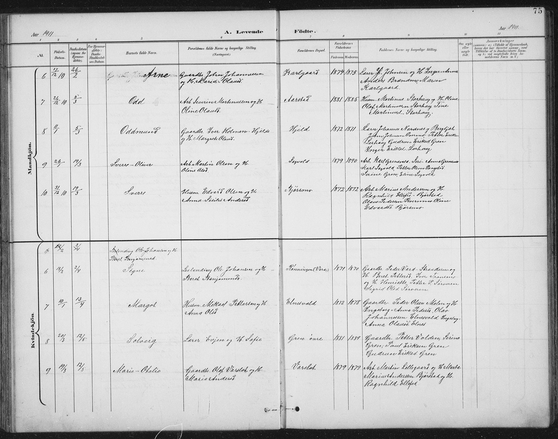 Ministerialprotokoller, klokkerbøker og fødselsregistre - Nord-Trøndelag, AV/SAT-A-1458/724/L0269: Parish register (copy) no. 724C05, 1899-1920, p. 75