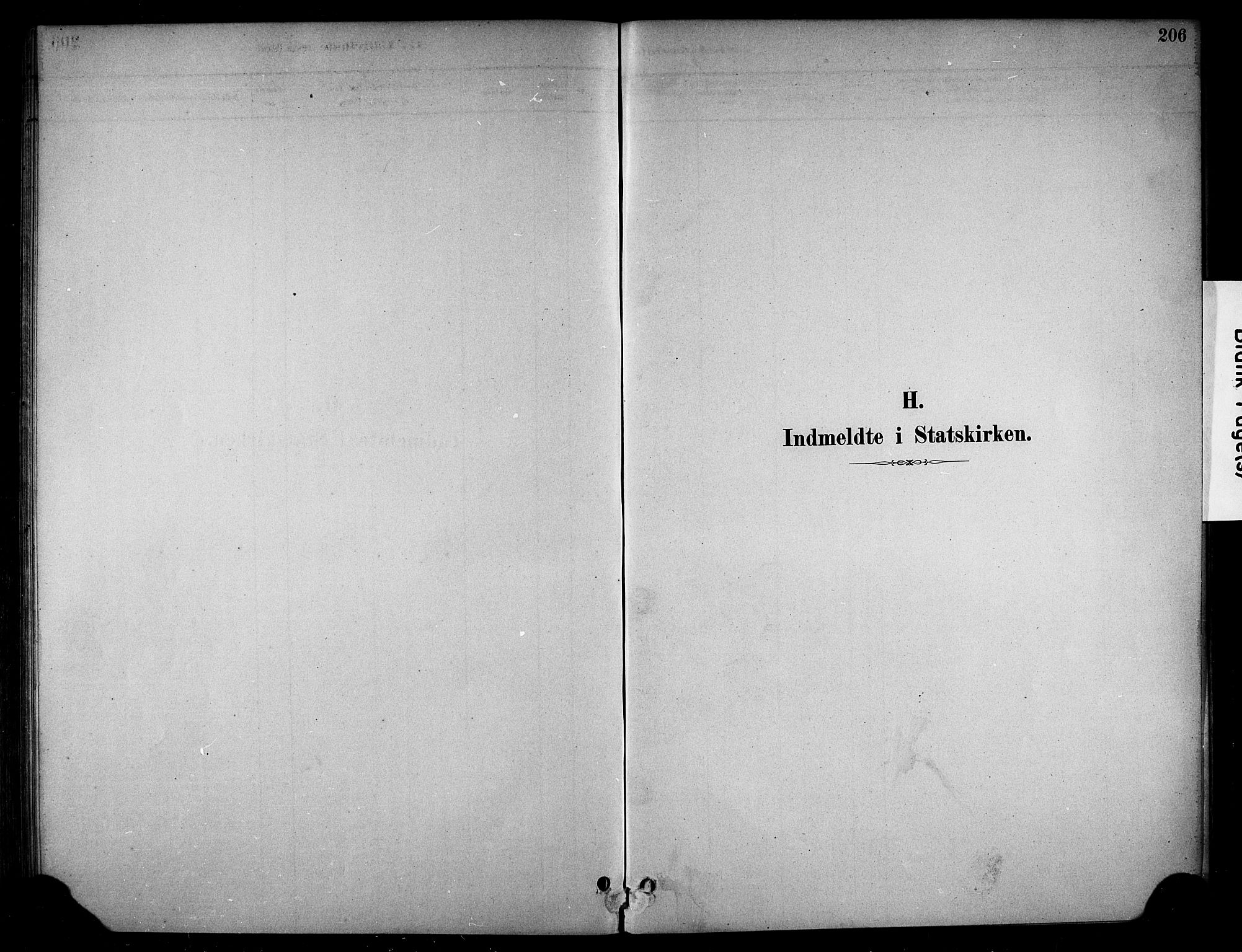 Stange prestekontor, AV/SAH-PREST-002/K/L0019: Parish register (official) no. 19, 1880-1891, p. 206