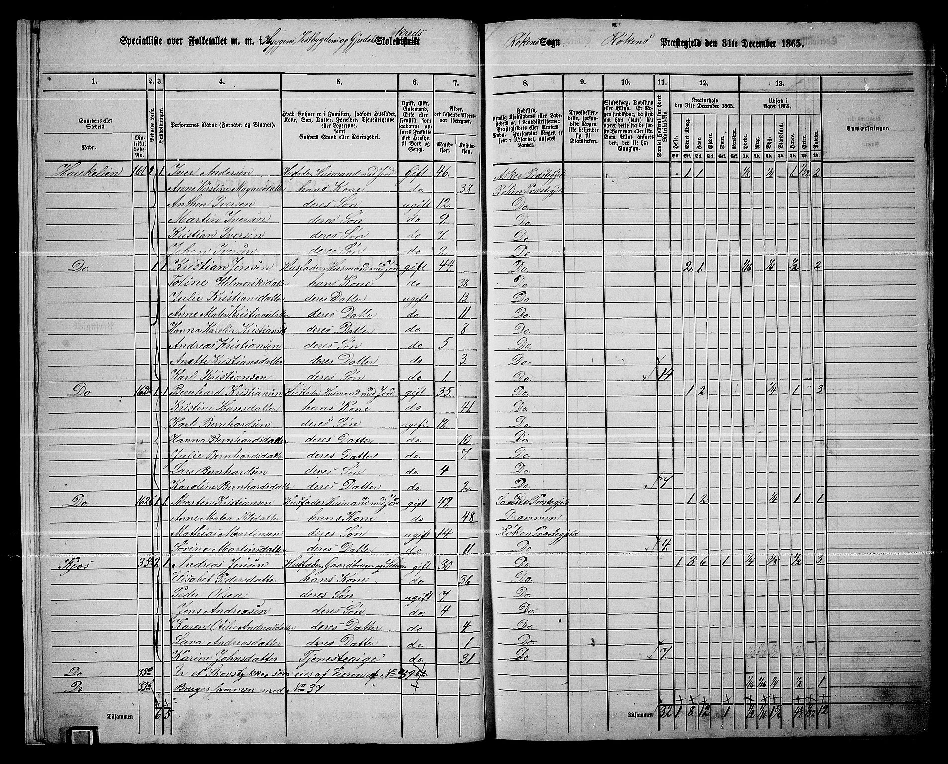 RA, 1865 census for Røyken, 1865, p. 11