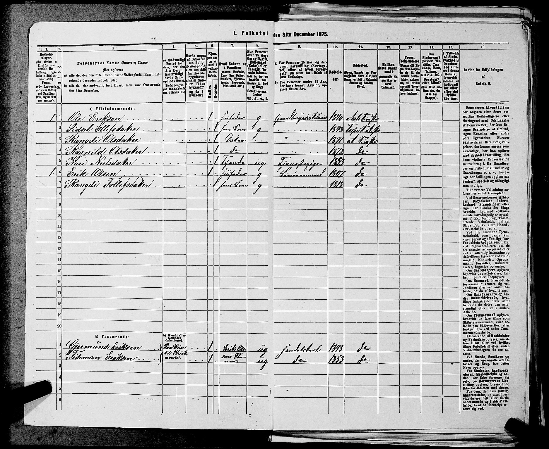 SAKO, 1875 census for 0619P Ål, 1875, p. 317