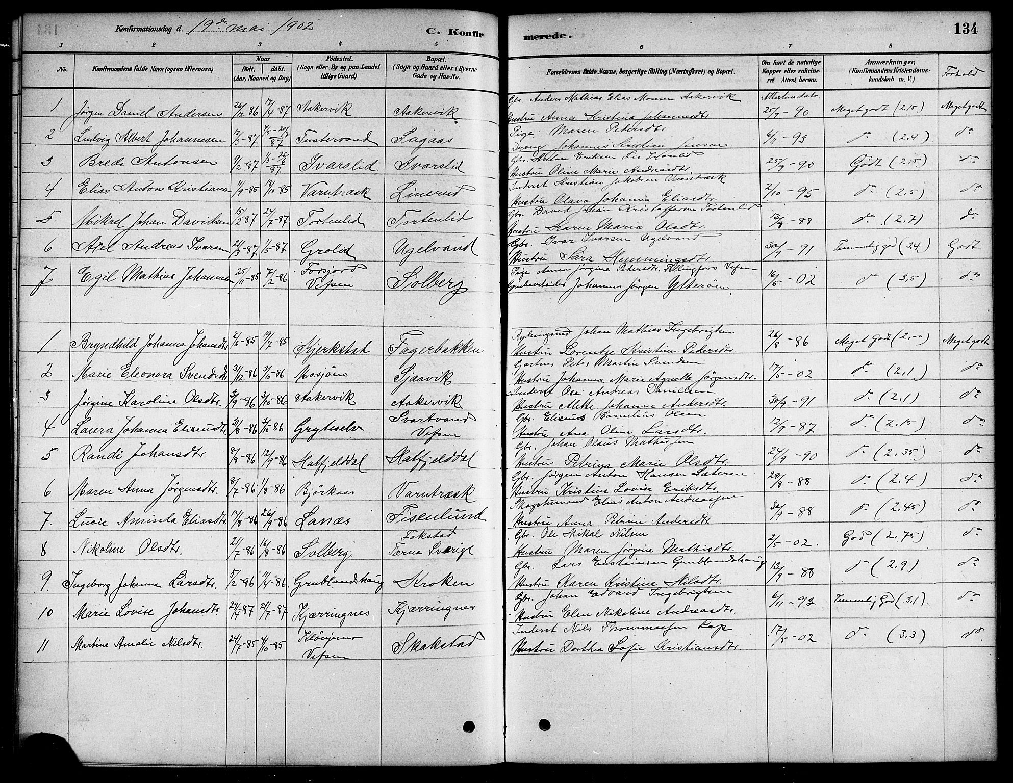 Ministerialprotokoller, klokkerbøker og fødselsregistre - Nordland, SAT/A-1459/823/L0330: Parish register (copy) no. 823C02, 1879-1916, p. 134