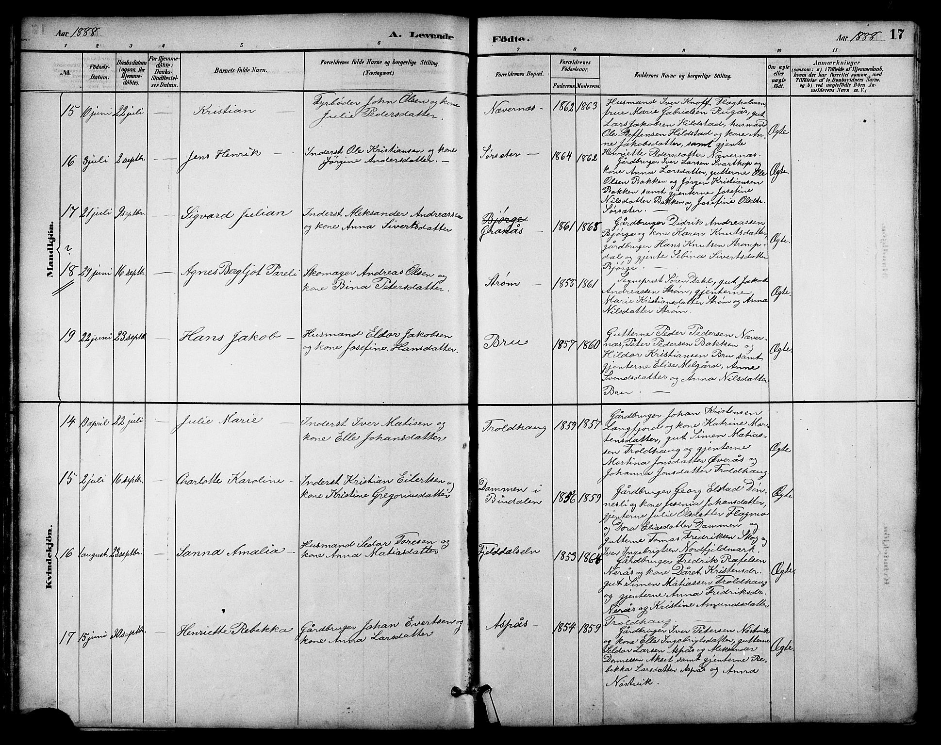 Ministerialprotokoller, klokkerbøker og fødselsregistre - Nordland, AV/SAT-A-1459/814/L0230: Parish register (copy) no. 814C03, 1884-1911, p. 17