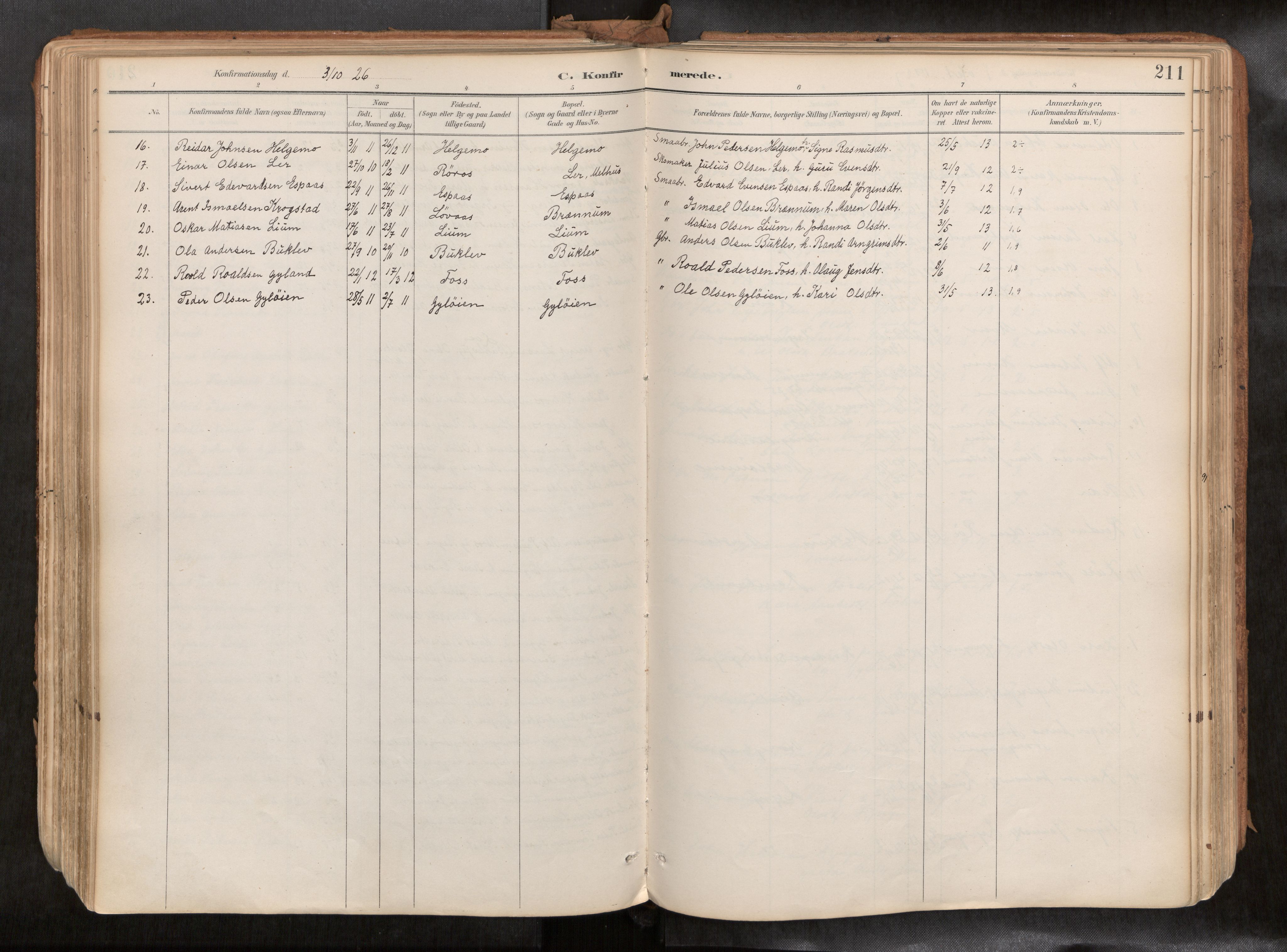 Ministerialprotokoller, klokkerbøker og fødselsregistre - Sør-Trøndelag, SAT/A-1456/692/L1105b: Parish register (official) no. 692A06, 1891-1934, p. 211