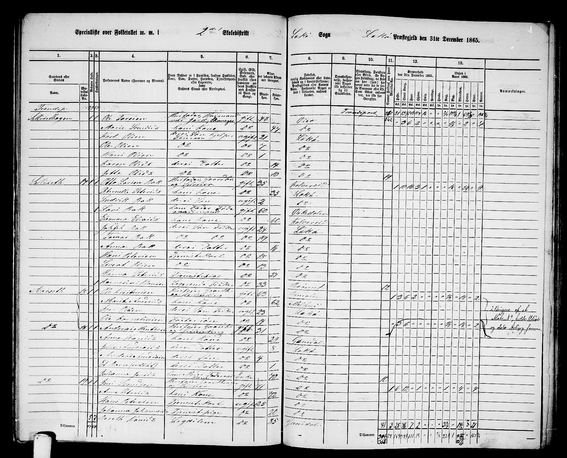 RA, 1865 census for Leka, 1865, p. 14