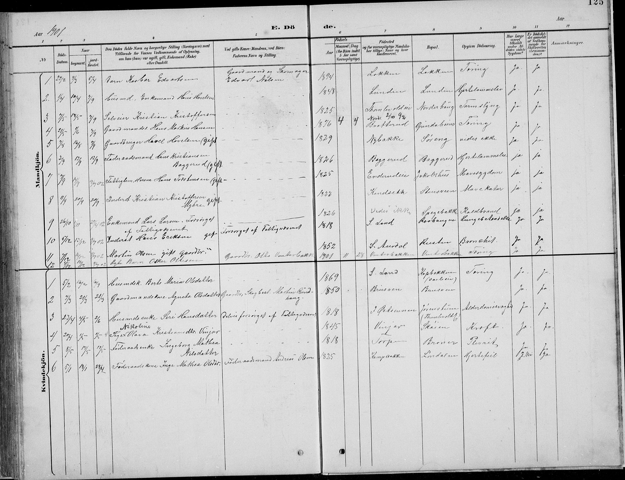 Nordre Land prestekontor, SAH/PREST-124/H/Ha/Hab/L0013: Parish register (copy) no. 13, 1891-1904, p. 125