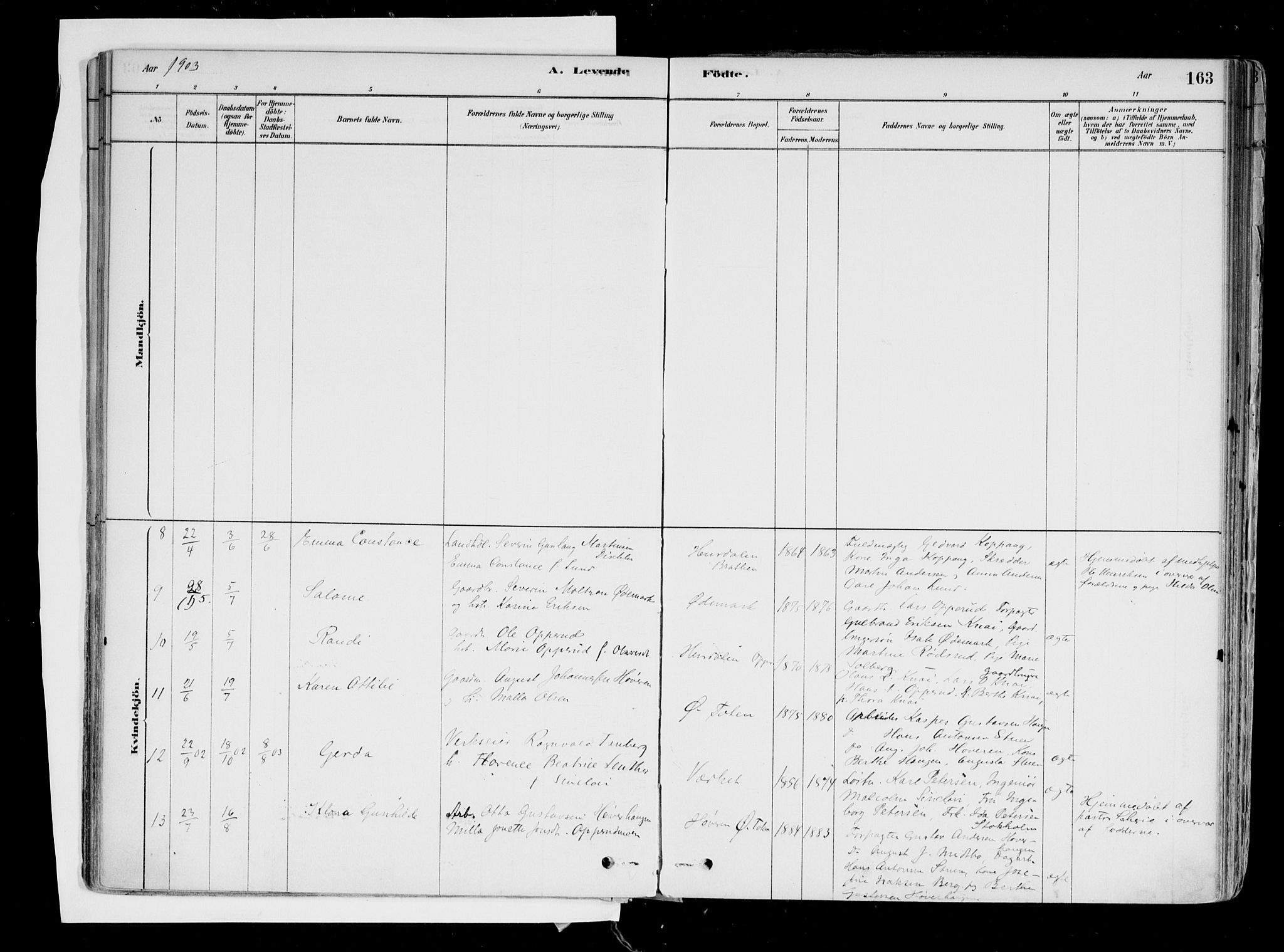 Hurdal prestekontor Kirkebøker, AV/SAO-A-10889/F/Fa/L0007: Parish register (official) no. I 7, 1878-1906, p. 163