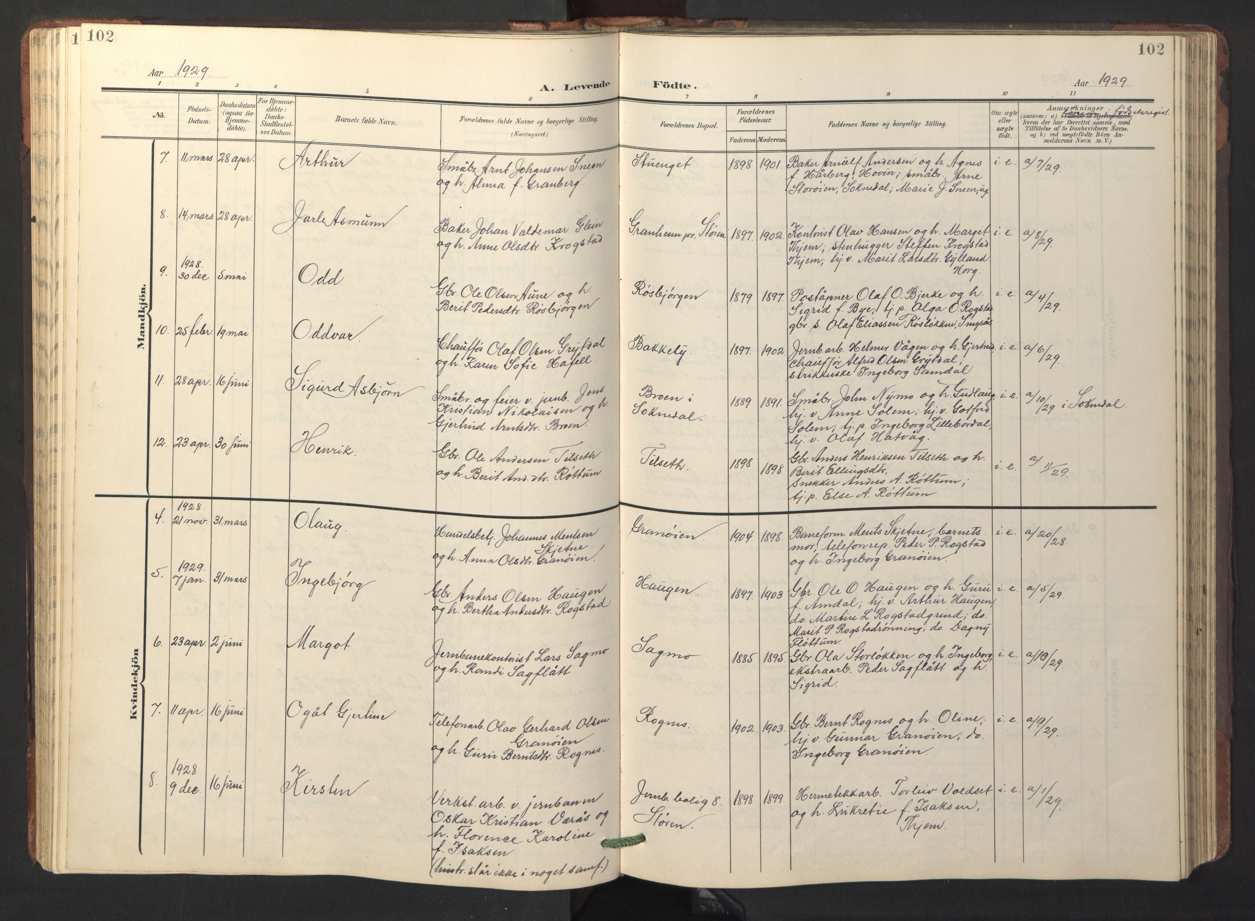 Ministerialprotokoller, klokkerbøker og fødselsregistre - Sør-Trøndelag, SAT/A-1456/687/L1019: Parish register (copy) no. 687C03, 1904-1931, p. 102