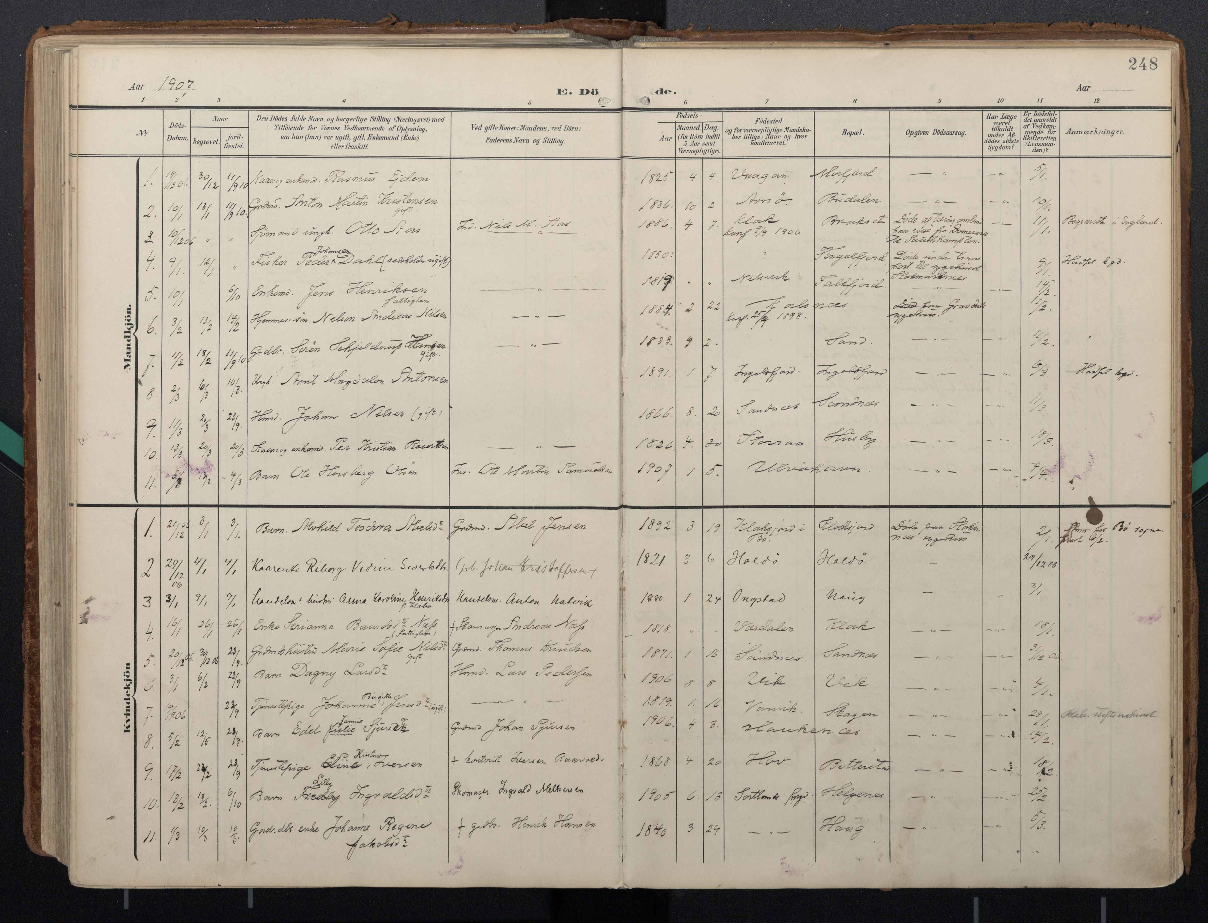 Ministerialprotokoller, klokkerbøker og fødselsregistre - Nordland, AV/SAT-A-1459/888/L1248: Parish register (official) no. 888A14, 1904-1913, p. 248