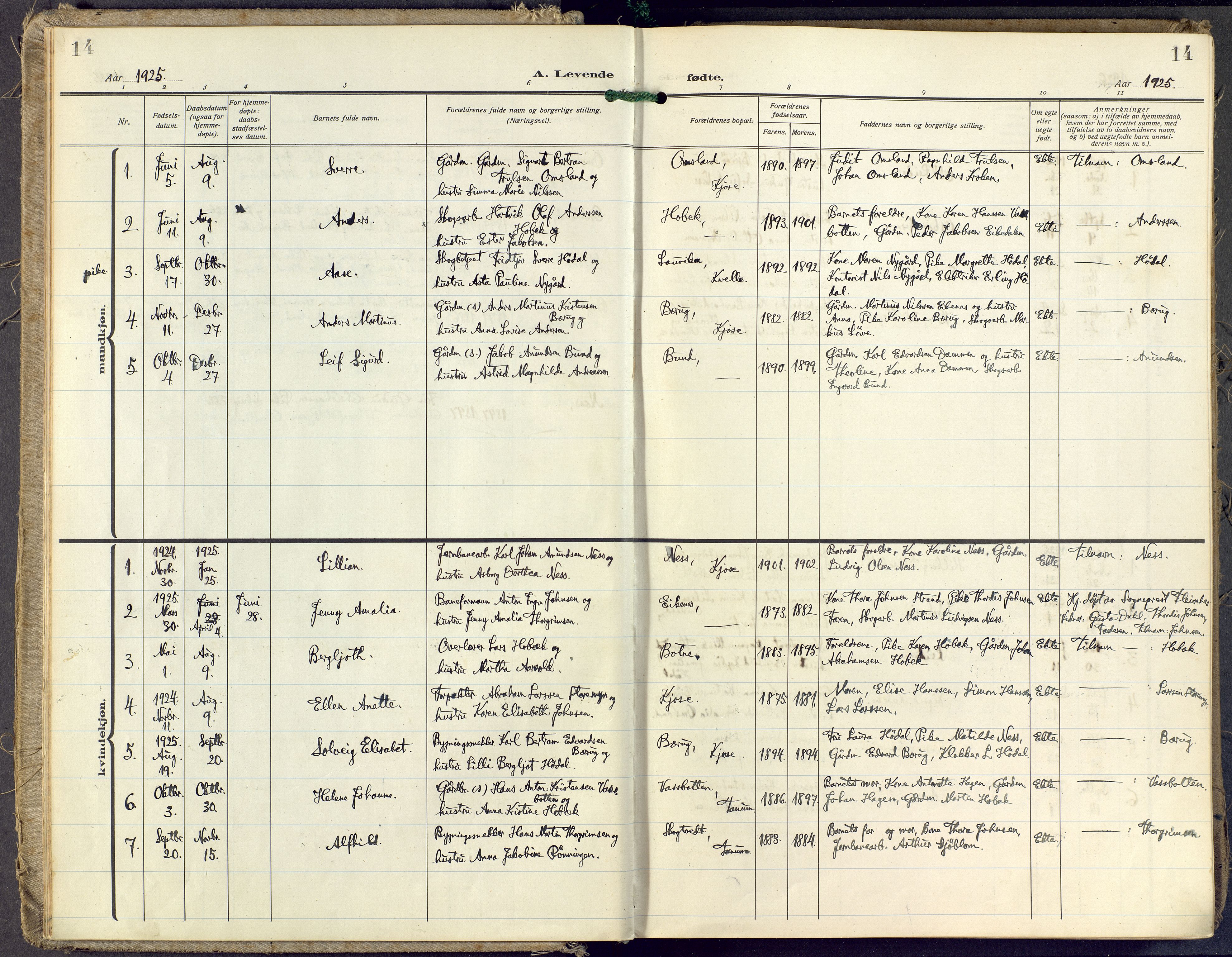 Brunlanes kirkebøker, AV/SAKO-A-342/F/Fd/L0002: Parish register (official) no. IV 2, 1918-1958, p. 14