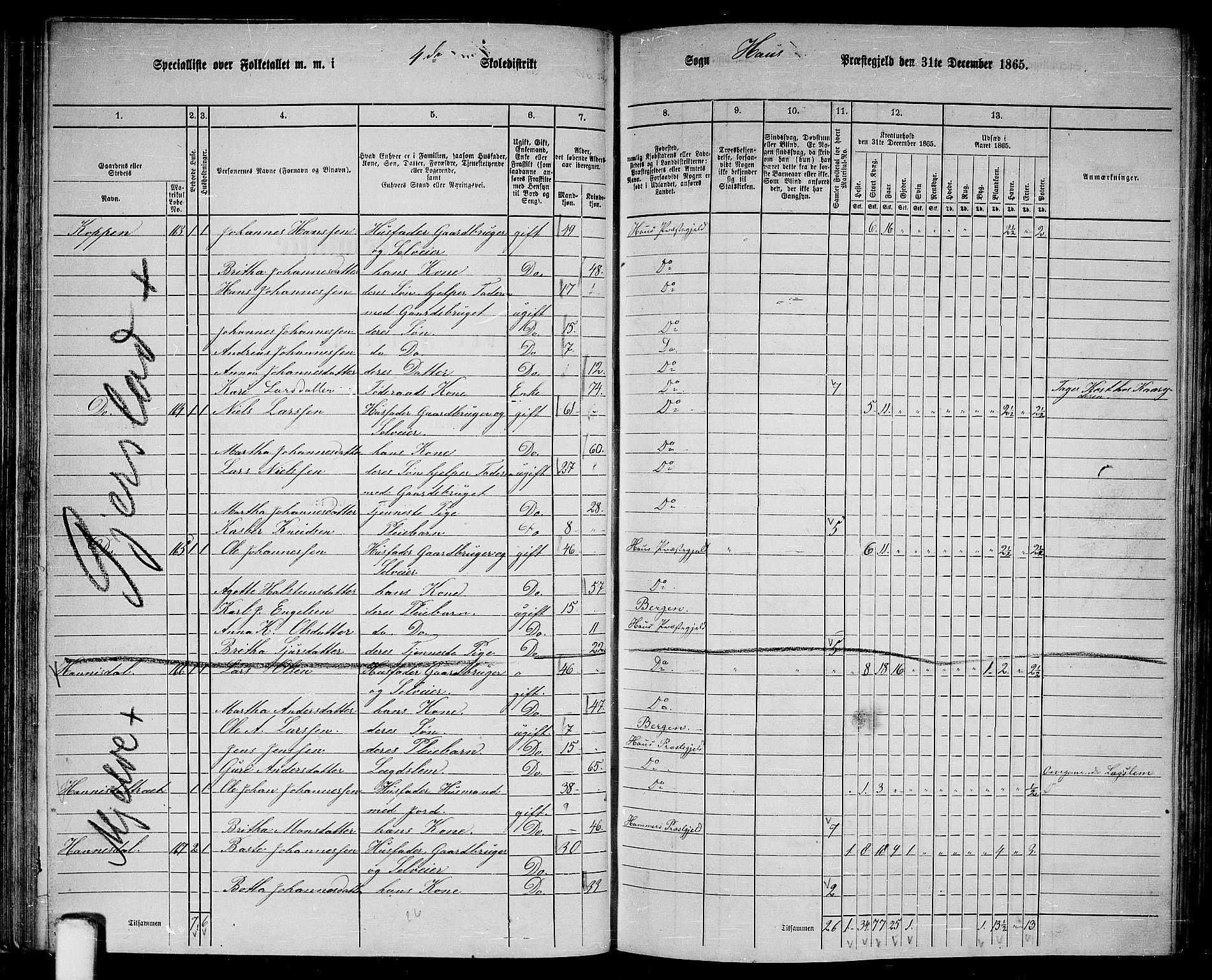 RA, 1865 census for Haus, 1865, p. 76