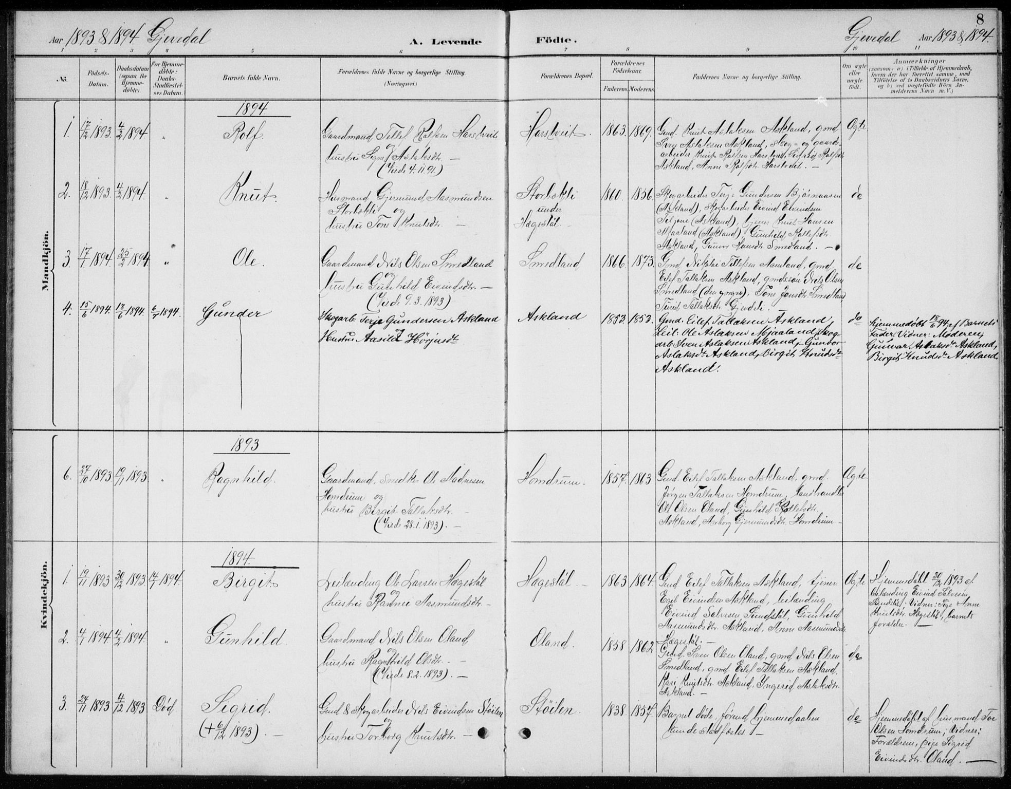 Åmli sokneprestkontor, SAK/1111-0050/F/Fb/Fba/L0002: Parish register (copy) no. B 2, 1890-1912, p. 8